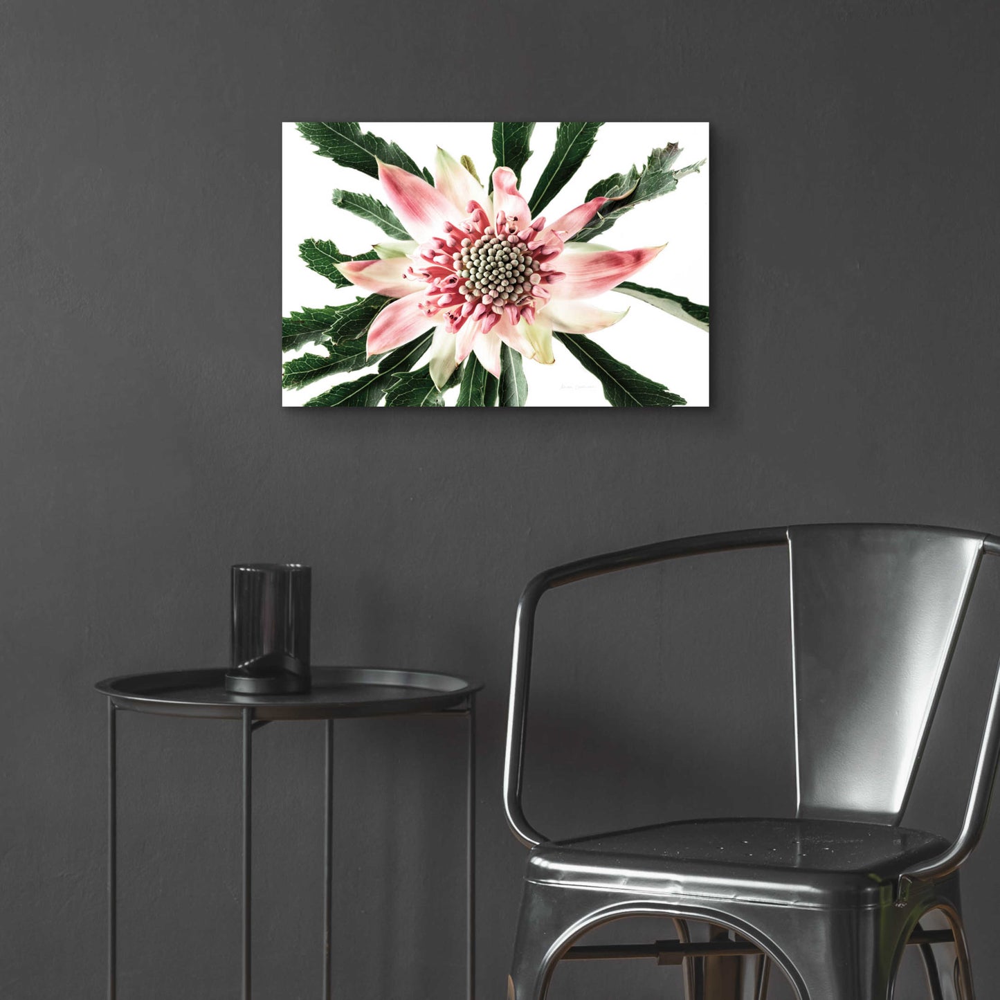 Epic Art 'Salmon Waratah III' by Elise Catterall, Acrylic Glass Wall Art,24x16