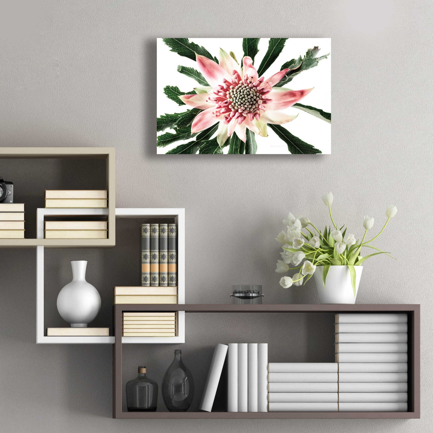 Epic Art 'Salmon Waratah III' by Elise Catterall, Acrylic Glass Wall Art,24x16