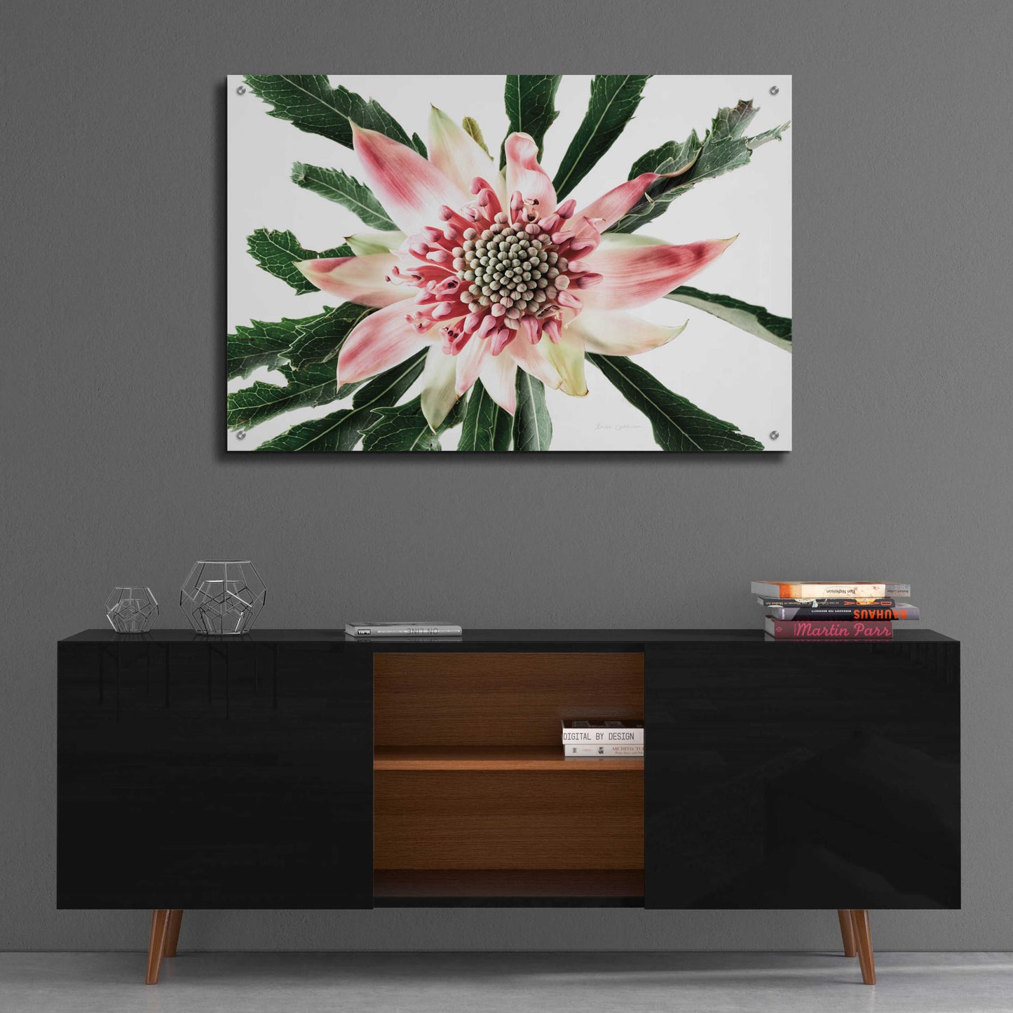 Epic Art 'Salmon Waratah III' by Elise Catterall, Acrylic Glass Wall Art,36x24