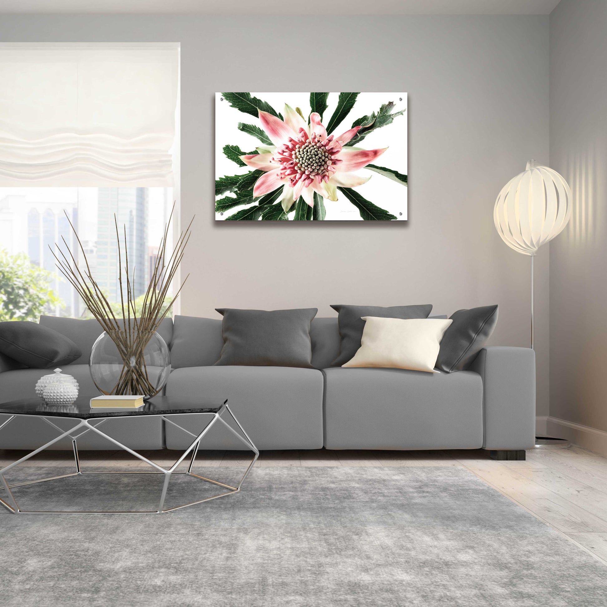 Epic Art 'Salmon Waratah III' by Elise Catterall, Acrylic Glass Wall Art,36x24