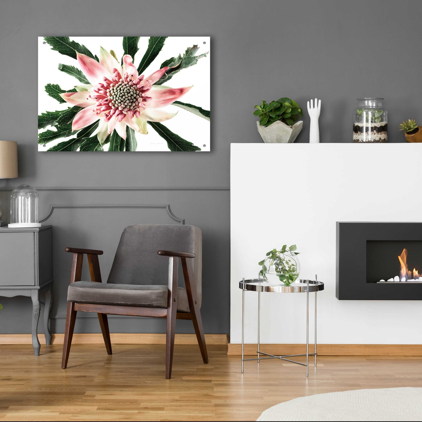 Epic Art 'Salmon Waratah III' by Elise Catterall, Acrylic Glass Wall Art,36x24