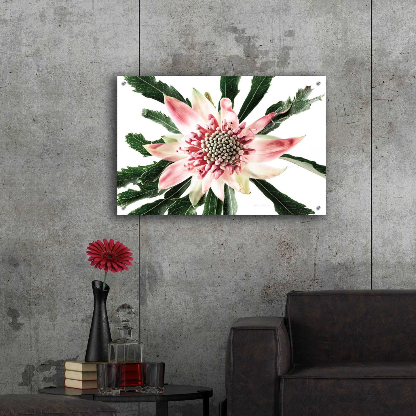 Epic Art 'Salmon Waratah III' by Elise Catterall, Acrylic Glass Wall Art,36x24