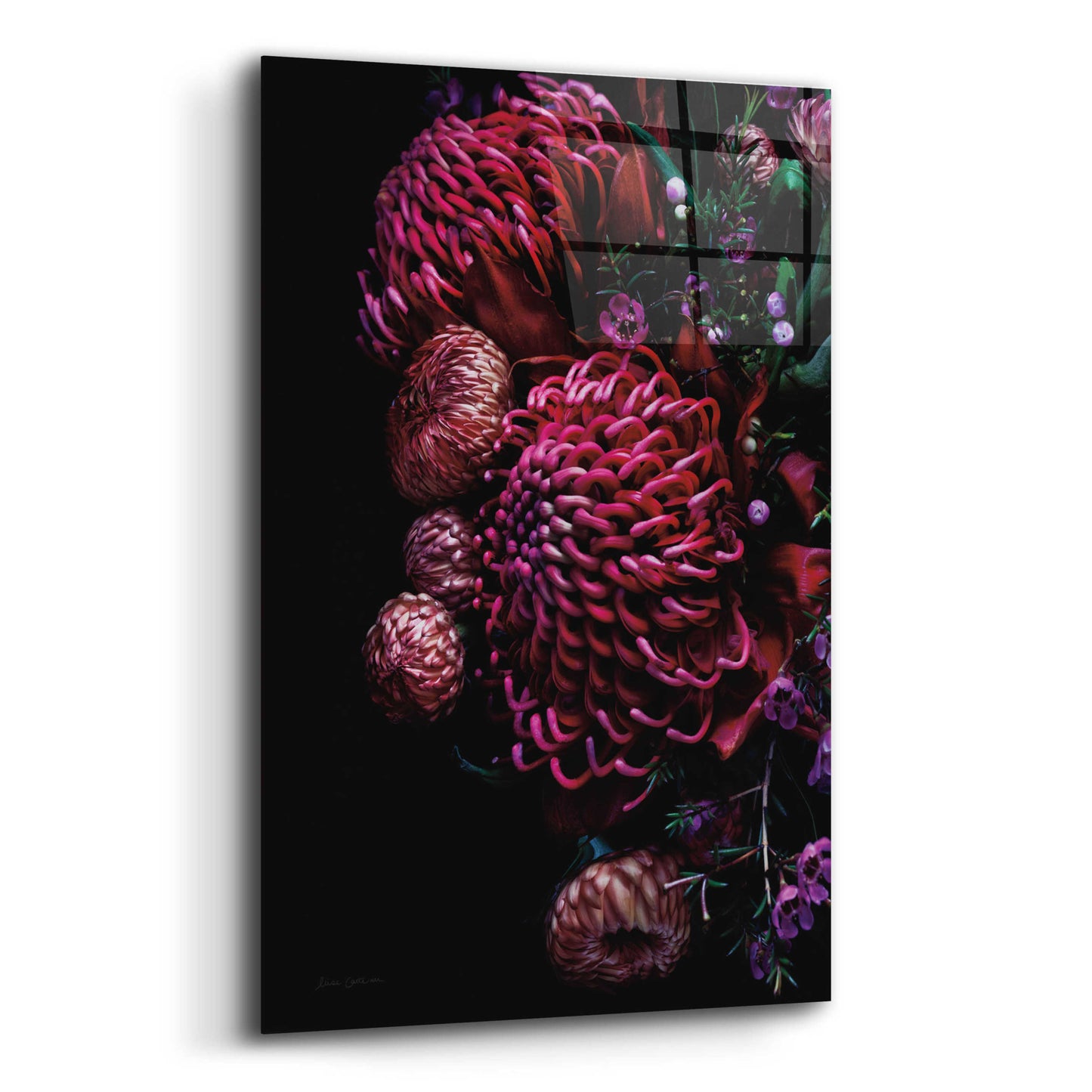 Epic Art 'Waratah Bouquet' by Elise Catterall, Acrylic Glass Wall Art,12x16