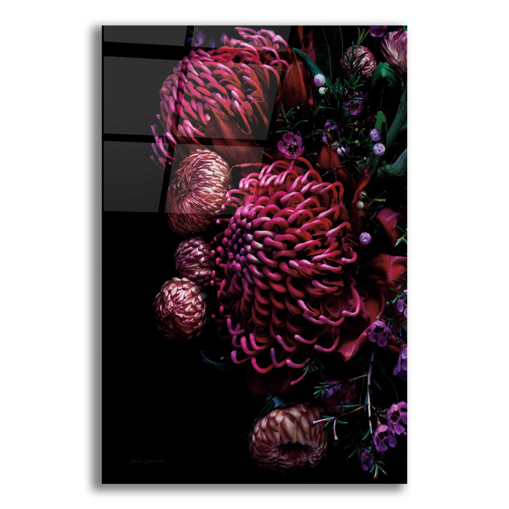 Epic Art 'Waratah Bouquet' by Elise Catterall, Acrylic Glass Wall Art,12x16