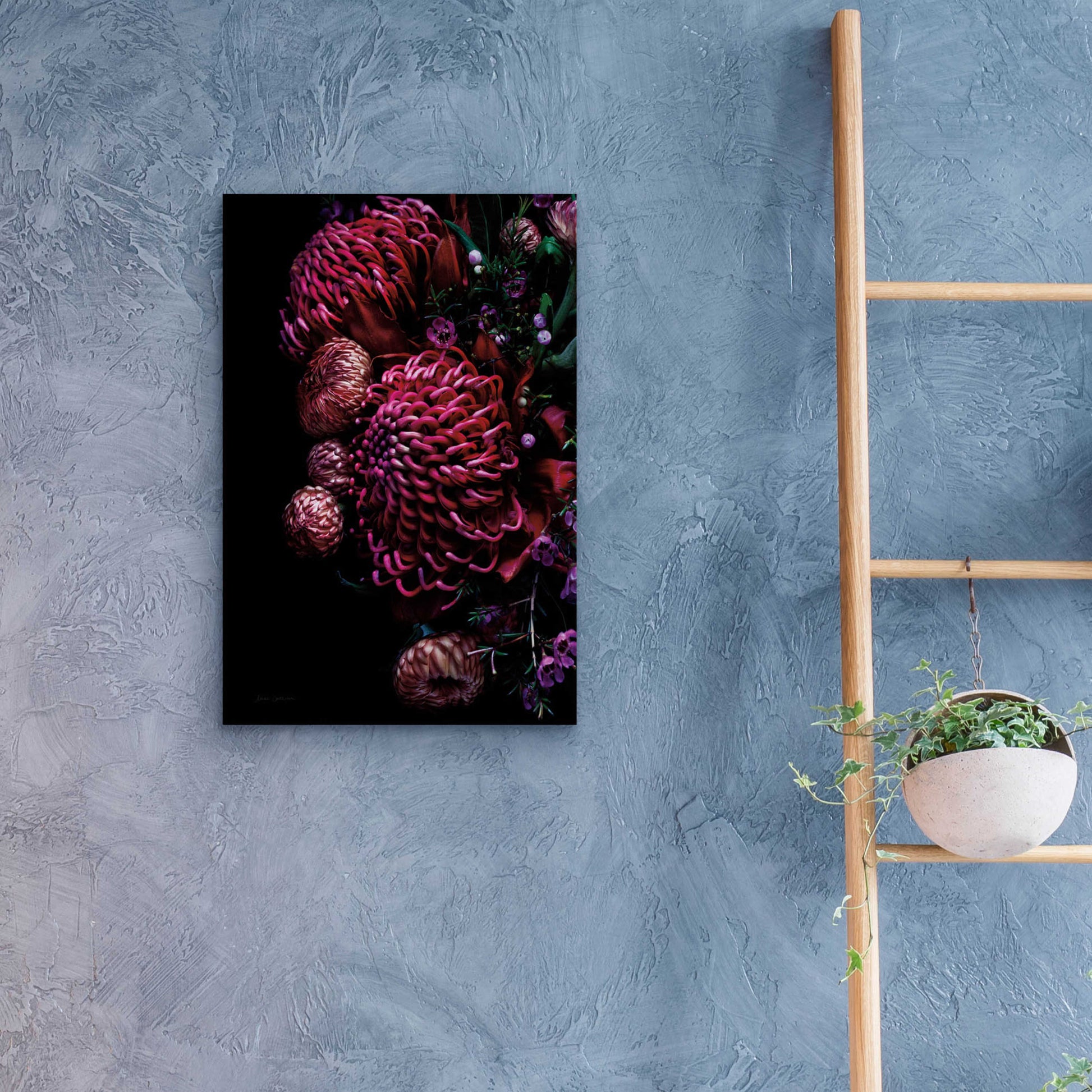 Epic Art 'Waratah Bouquet' by Elise Catterall, Acrylic Glass Wall Art,16x24