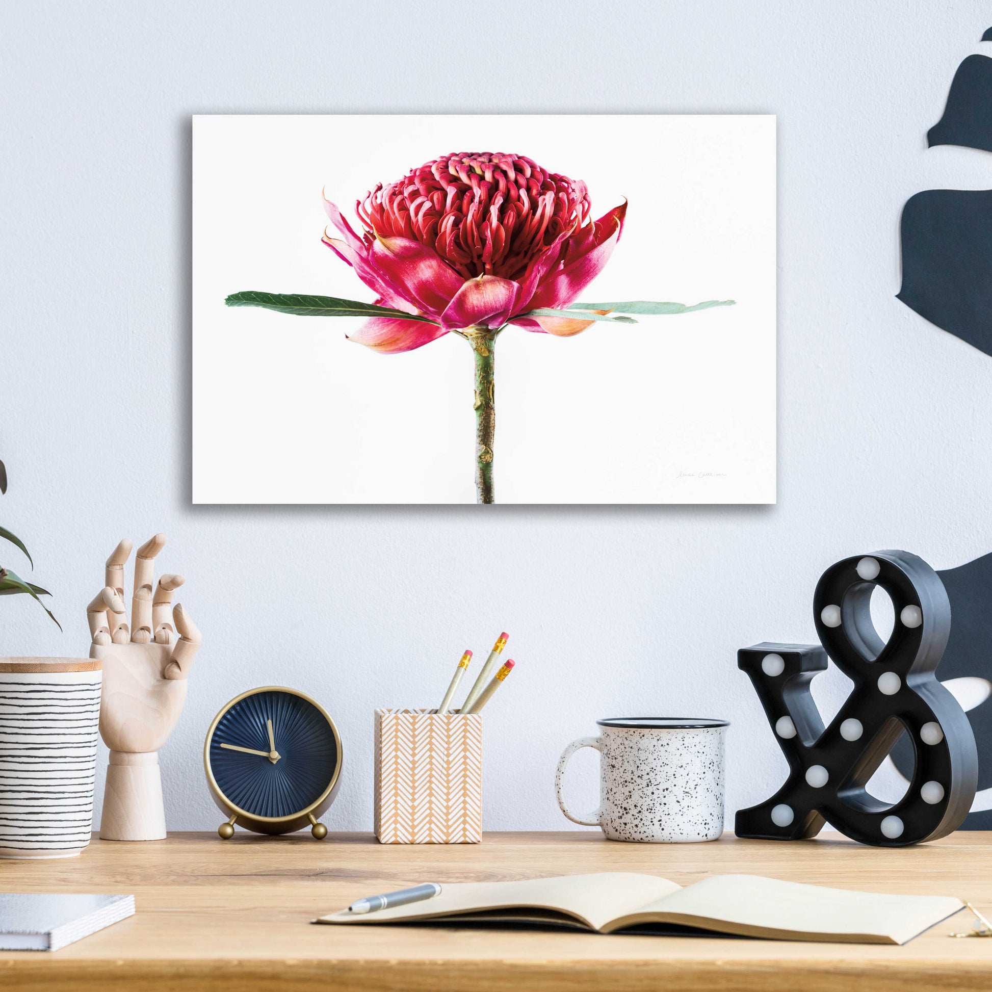 Epic Art 'Waratah Flower' by Elise Catterall, Acrylic Glass Wall Art,16x12