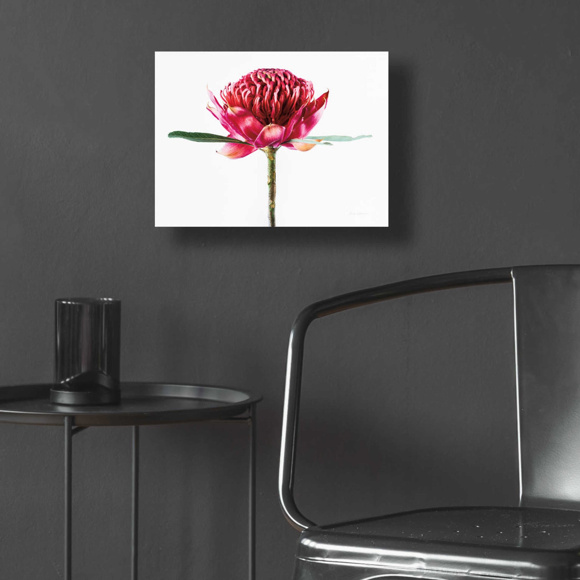 Epic Art 'Waratah Flower' by Elise Catterall, Acrylic Glass Wall Art,16x12