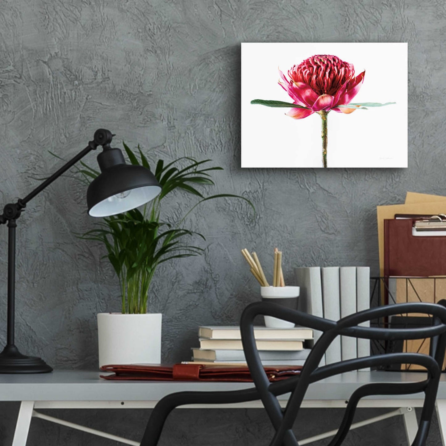 Epic Art 'Waratah Flower' by Elise Catterall, Acrylic Glass Wall Art,16x12