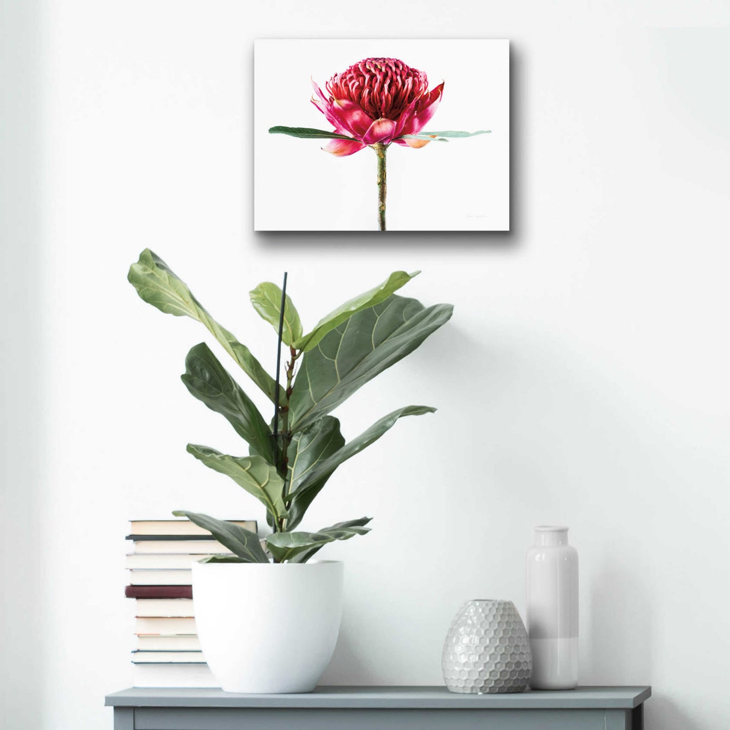 Epic Art 'Waratah Flower' by Elise Catterall, Acrylic Glass Wall Art,16x12