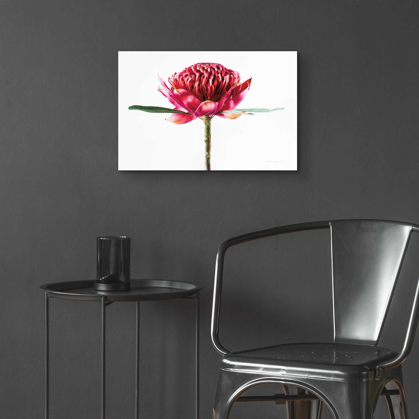 Epic Art 'Waratah Flower' by Elise Catterall, Acrylic Glass Wall Art,24x16