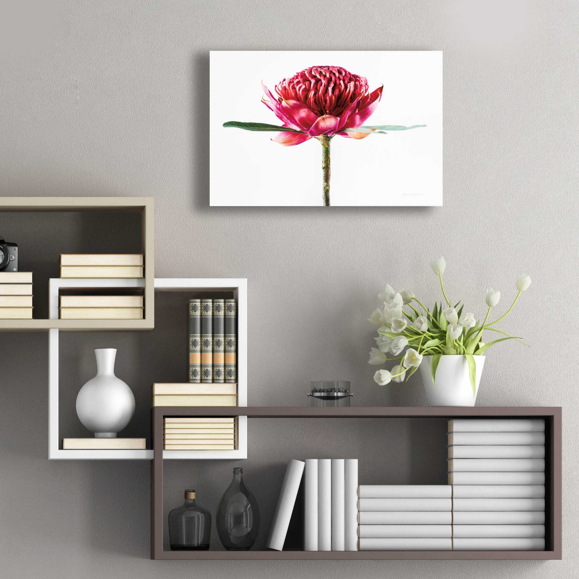 Epic Art 'Waratah Flower' by Elise Catterall, Acrylic Glass Wall Art,24x16