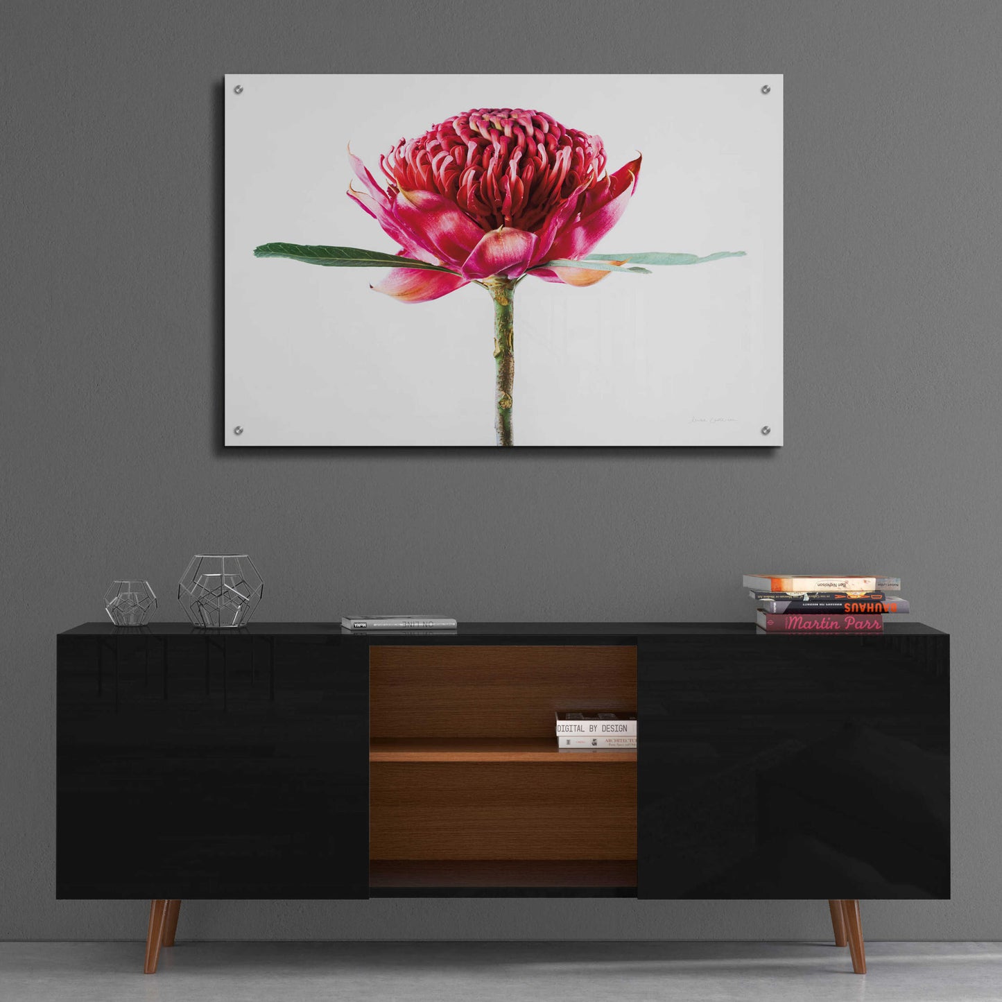 Epic Art 'Waratah Flower' by Elise Catterall, Acrylic Glass Wall Art,36x24