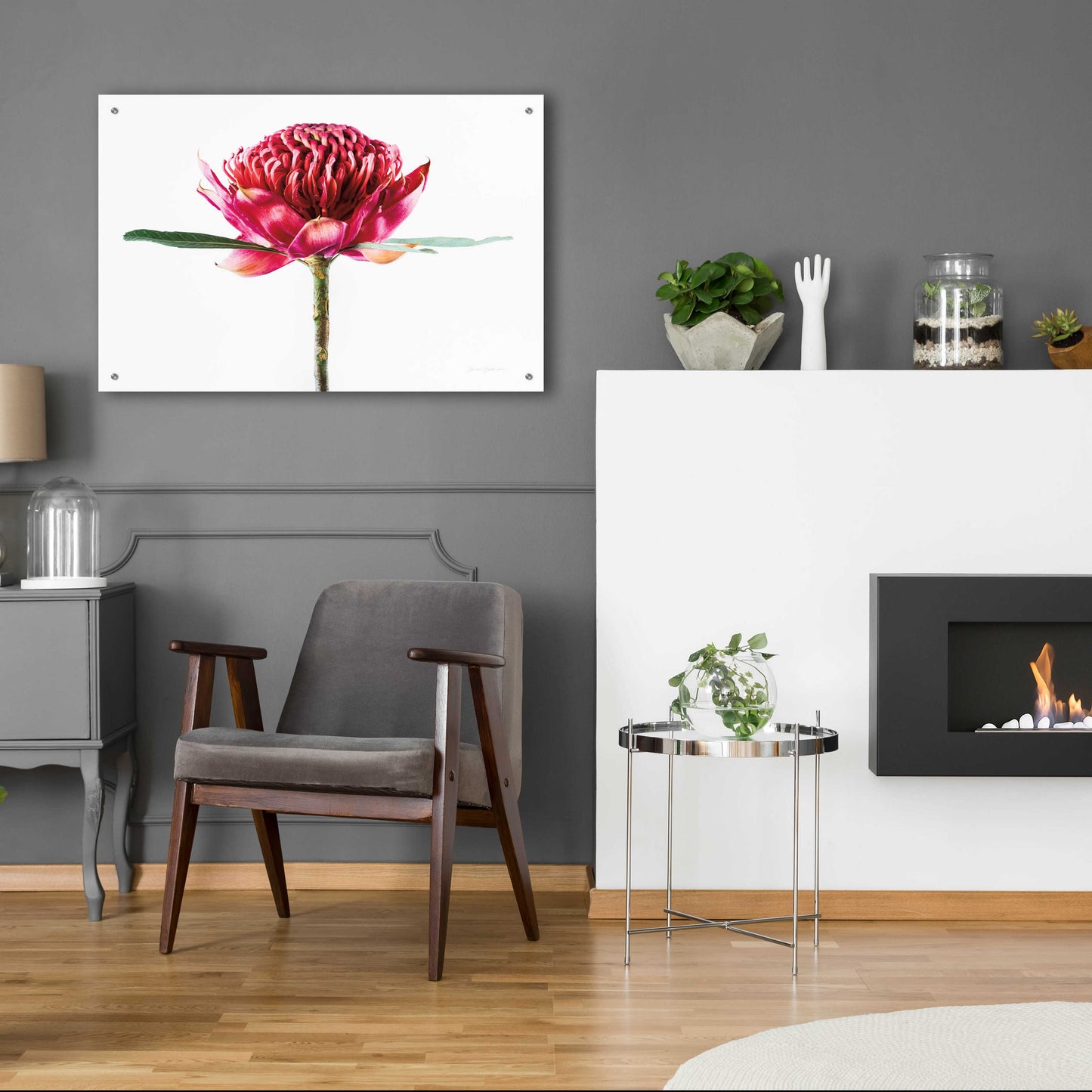 Epic Art 'Waratah Flower' by Elise Catterall, Acrylic Glass Wall Art,36x24