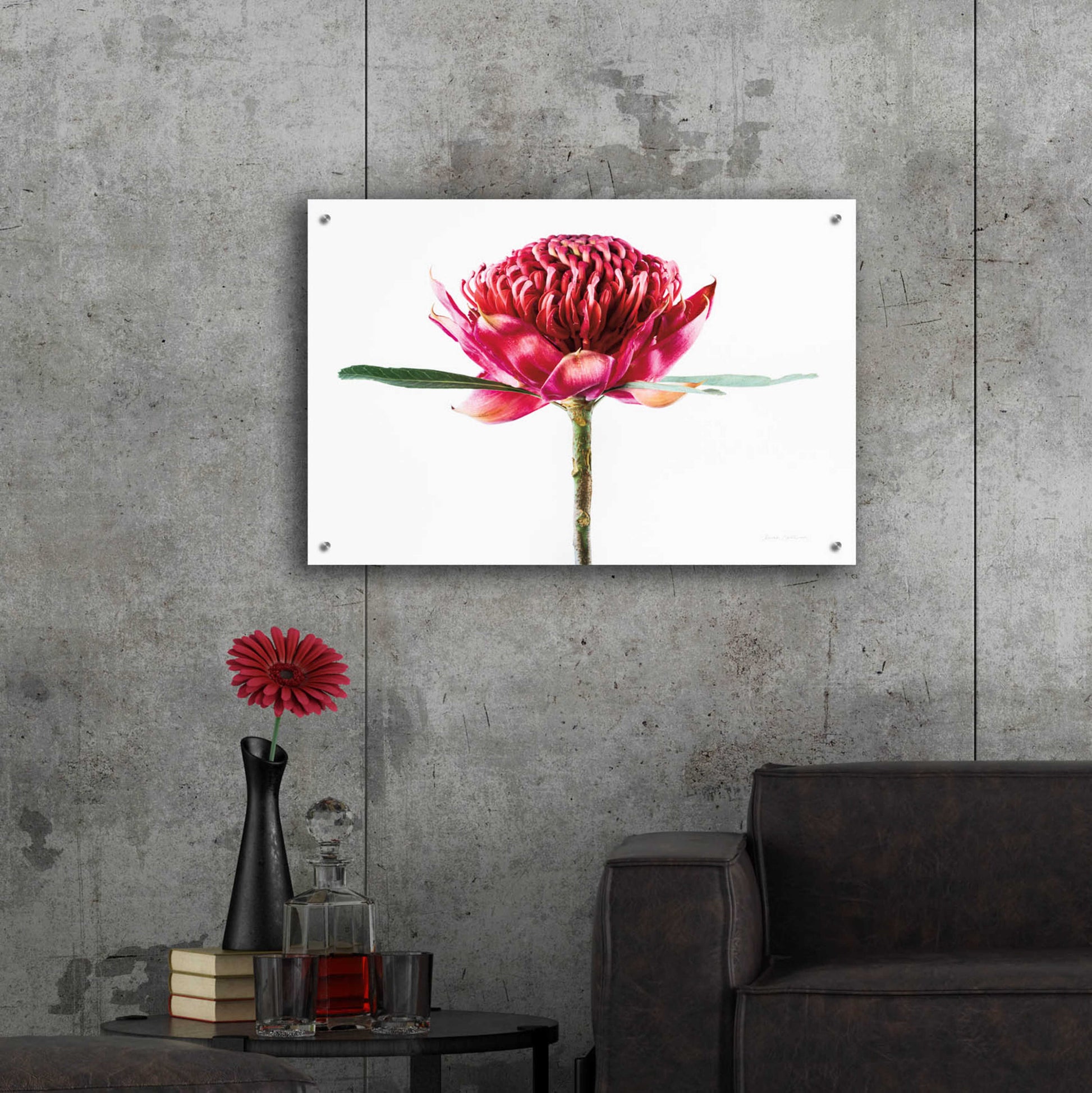 Epic Art 'Waratah Flower' by Elise Catterall, Acrylic Glass Wall Art,36x24