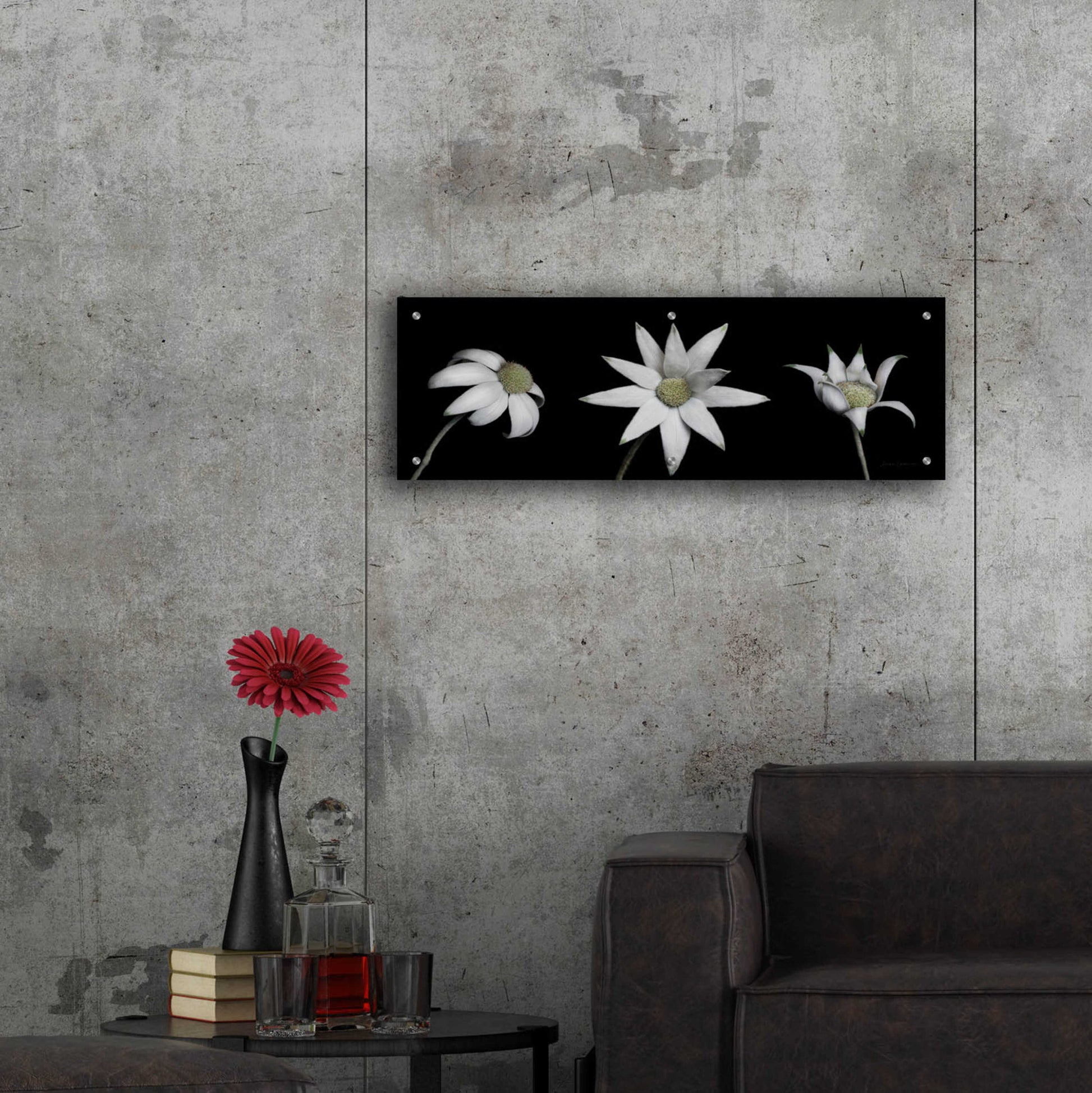 Epic Art 'Flannel Flower Trio' by Elise Catterall, Acrylic Glass Wall Art,36x12