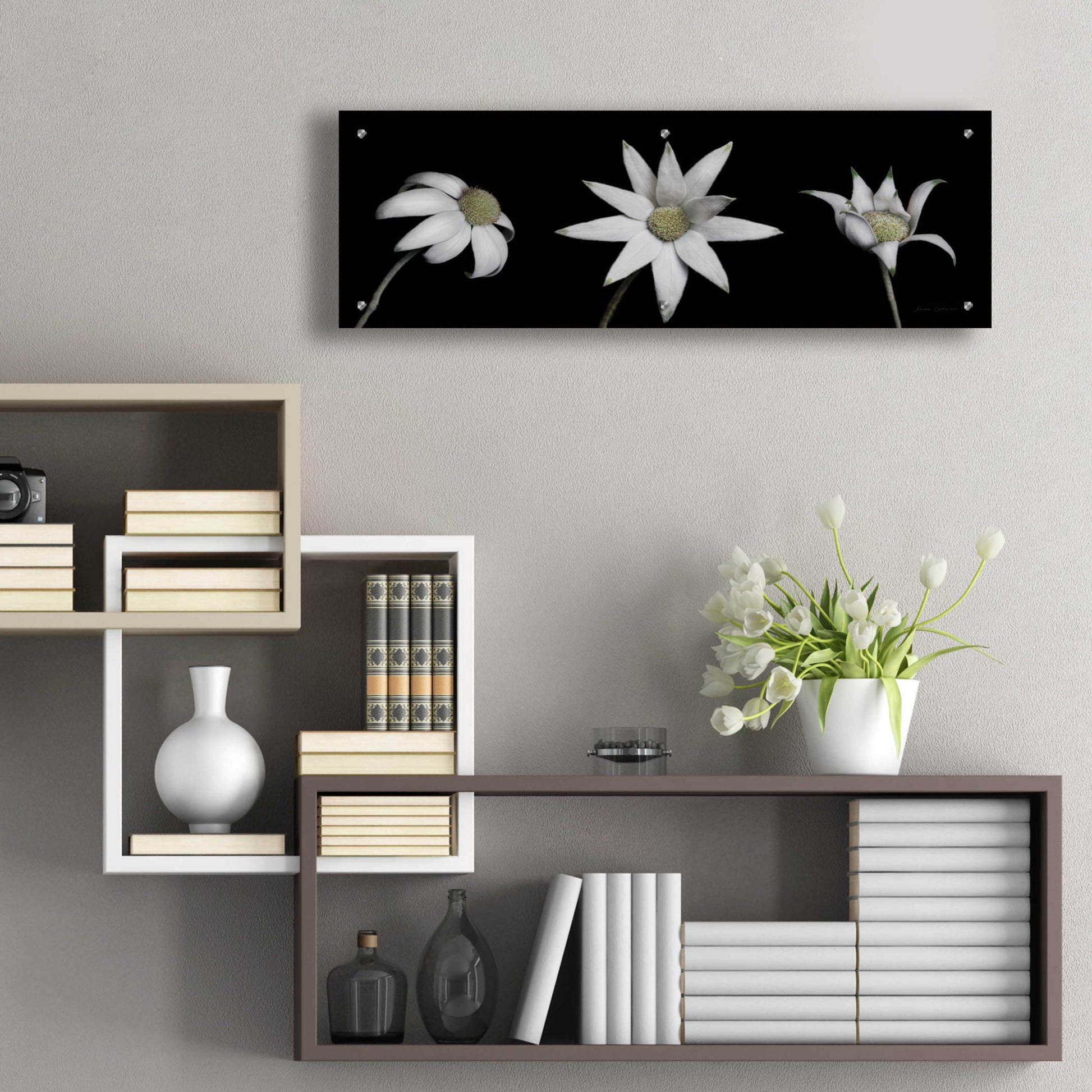 Epic Art 'Flannel Flower Trio' by Elise Catterall, Acrylic Glass Wall Art,36x12