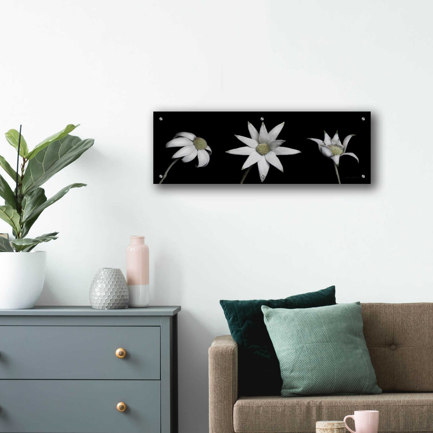 Epic Art 'Flannel Flower Trio' by Elise Catterall, Acrylic Glass Wall Art,36x12