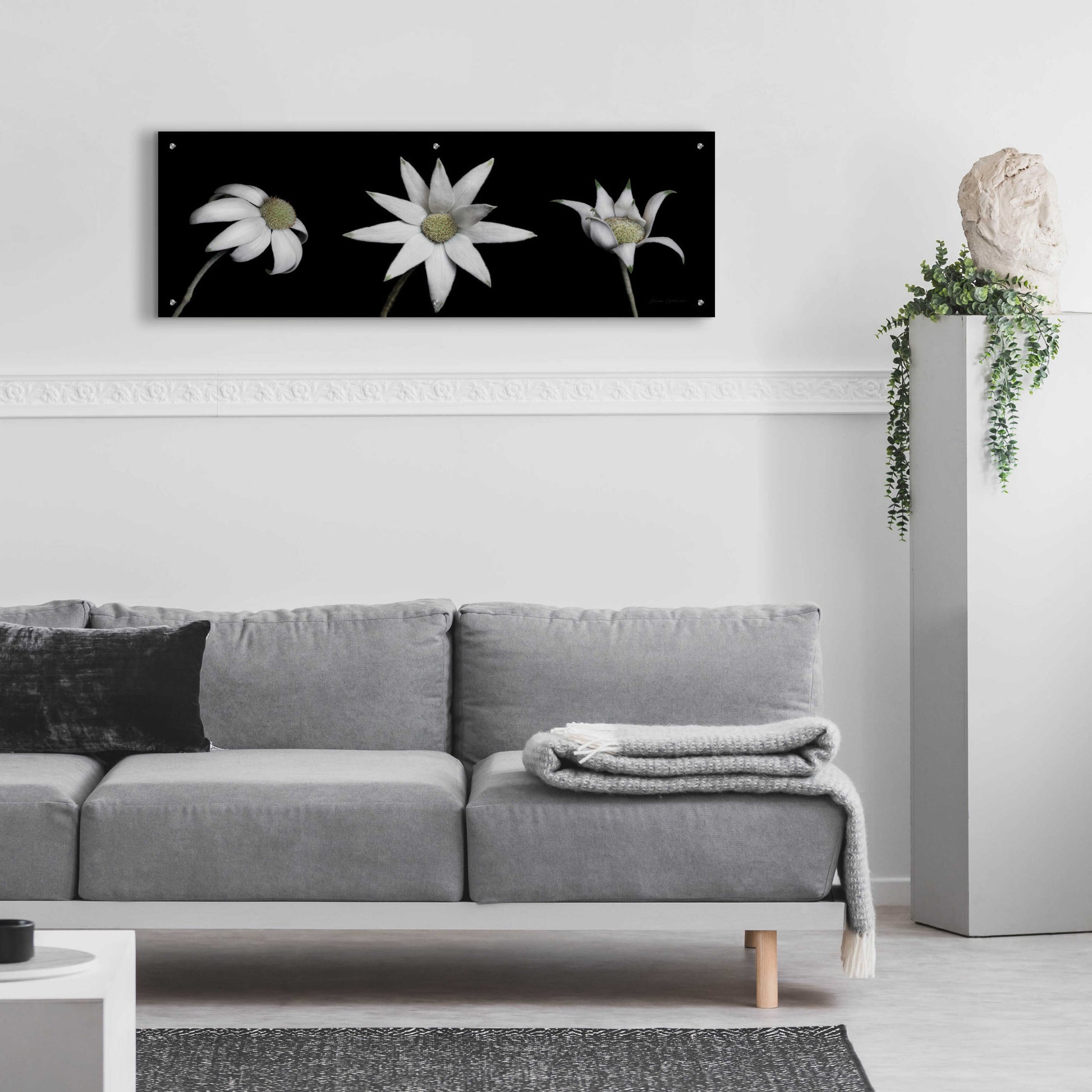 Epic Art 'Flannel Flower Trio' by Elise Catterall, Acrylic Glass Wall Art,48x16