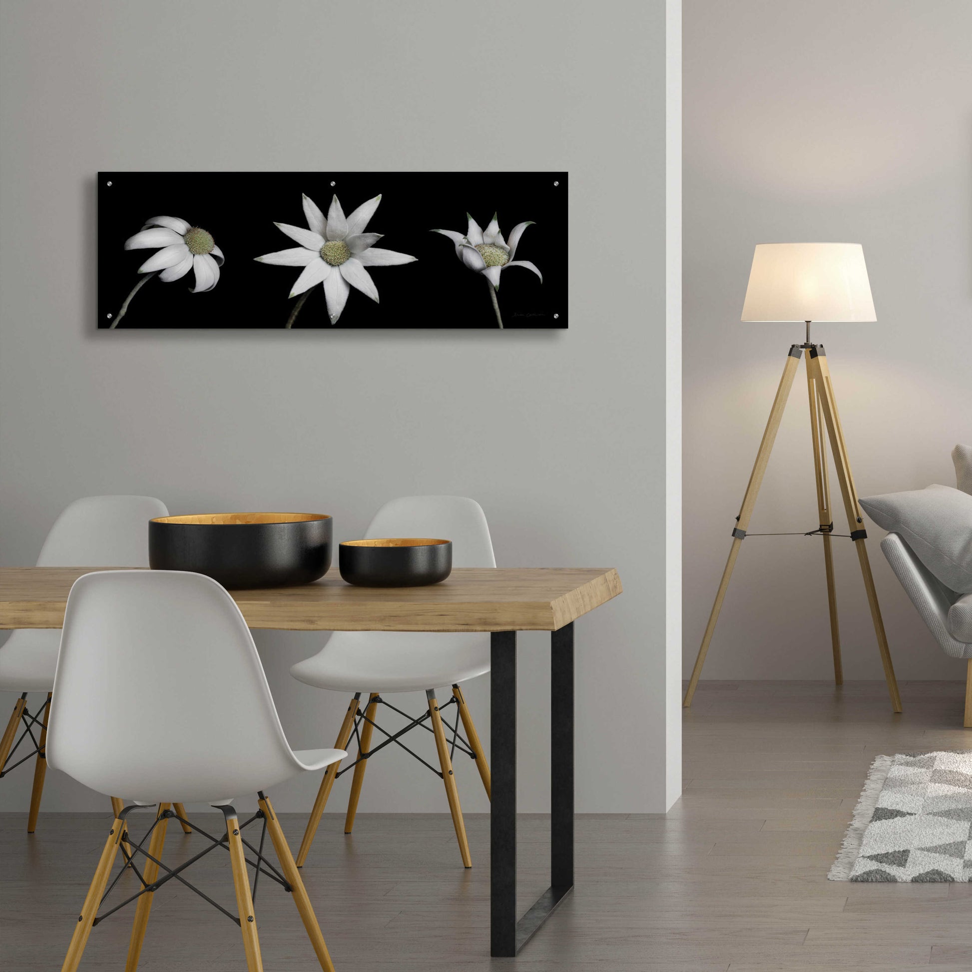 Epic Art 'Flannel Flower Trio' by Elise Catterall, Acrylic Glass Wall Art,48x16