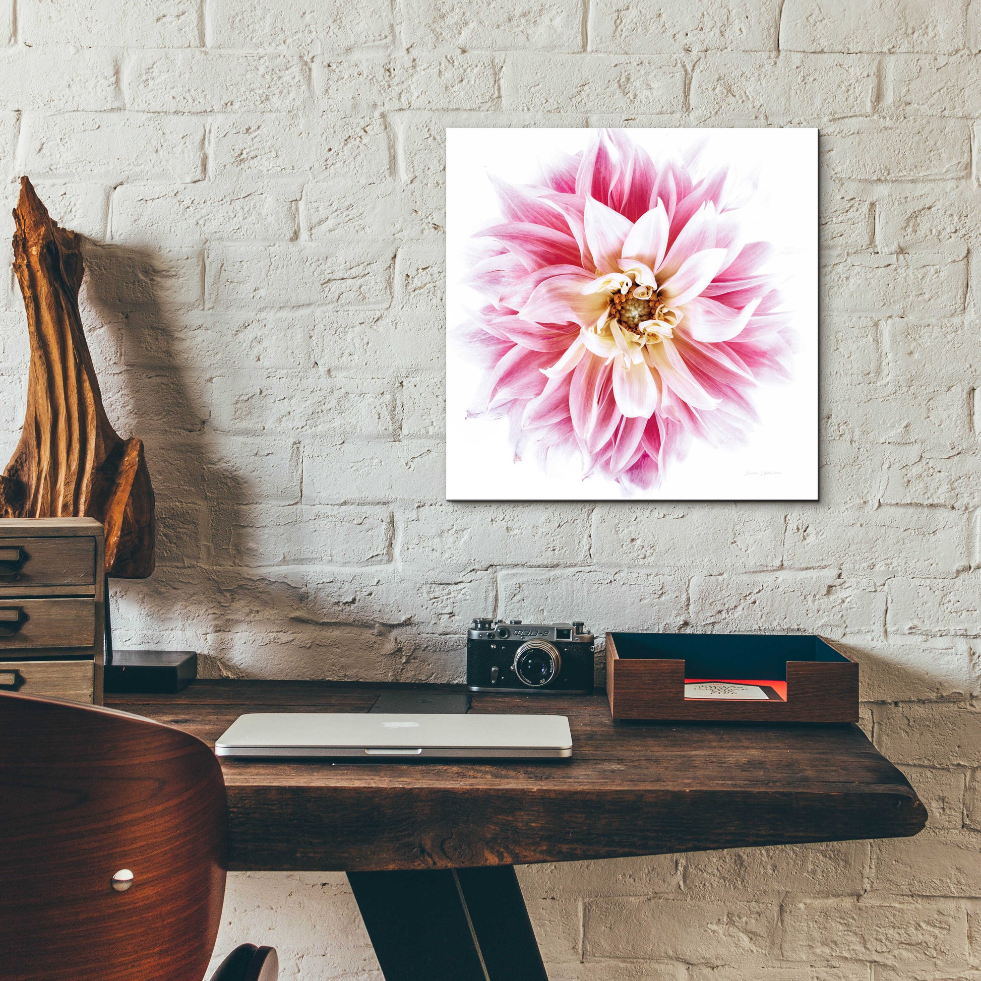 Epic Art 'Pink Dahlia' by Elise Catterall, Acrylic Glass Wall Art,12x12