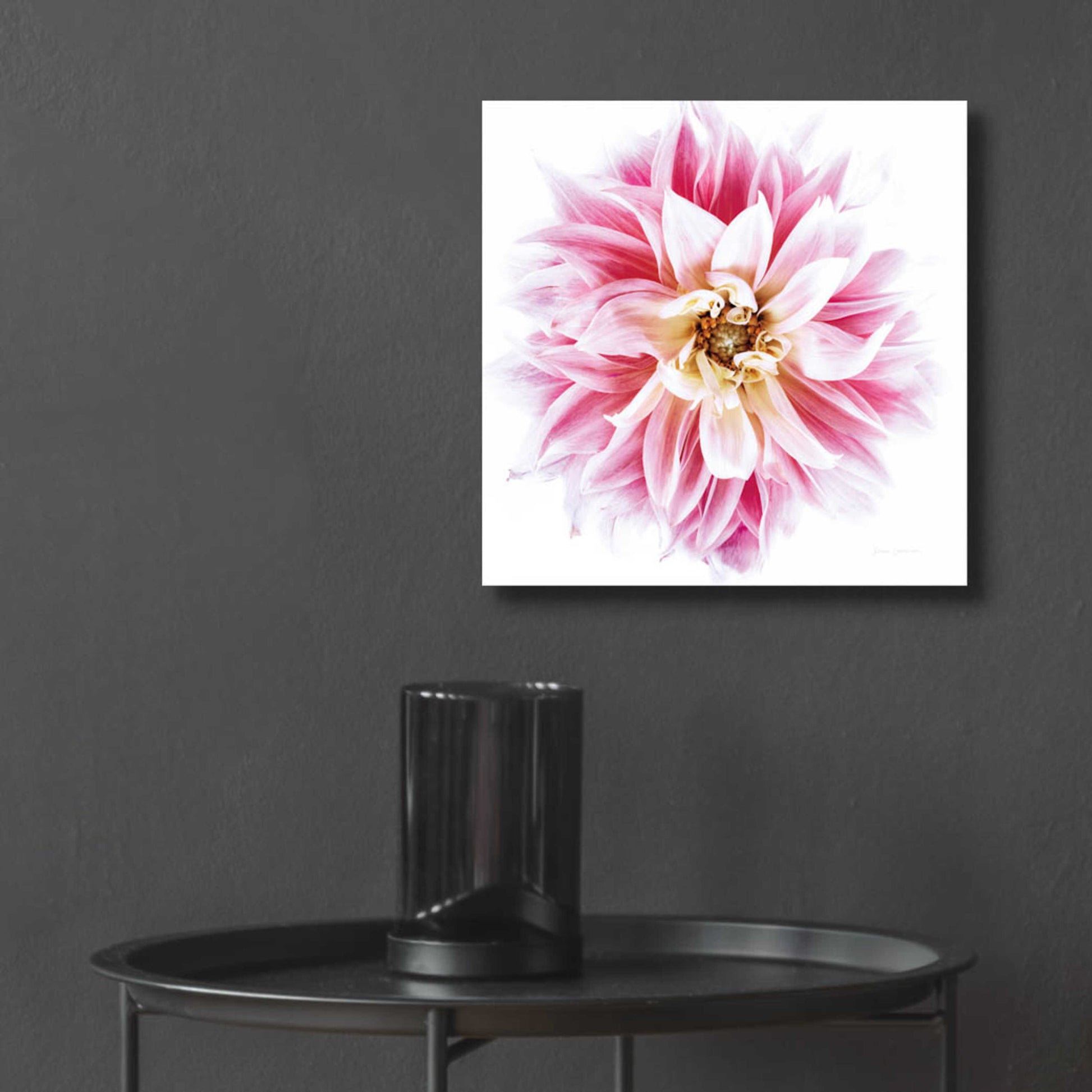 Epic Art 'Pink Dahlia' by Elise Catterall, Acrylic Glass Wall Art,12x12