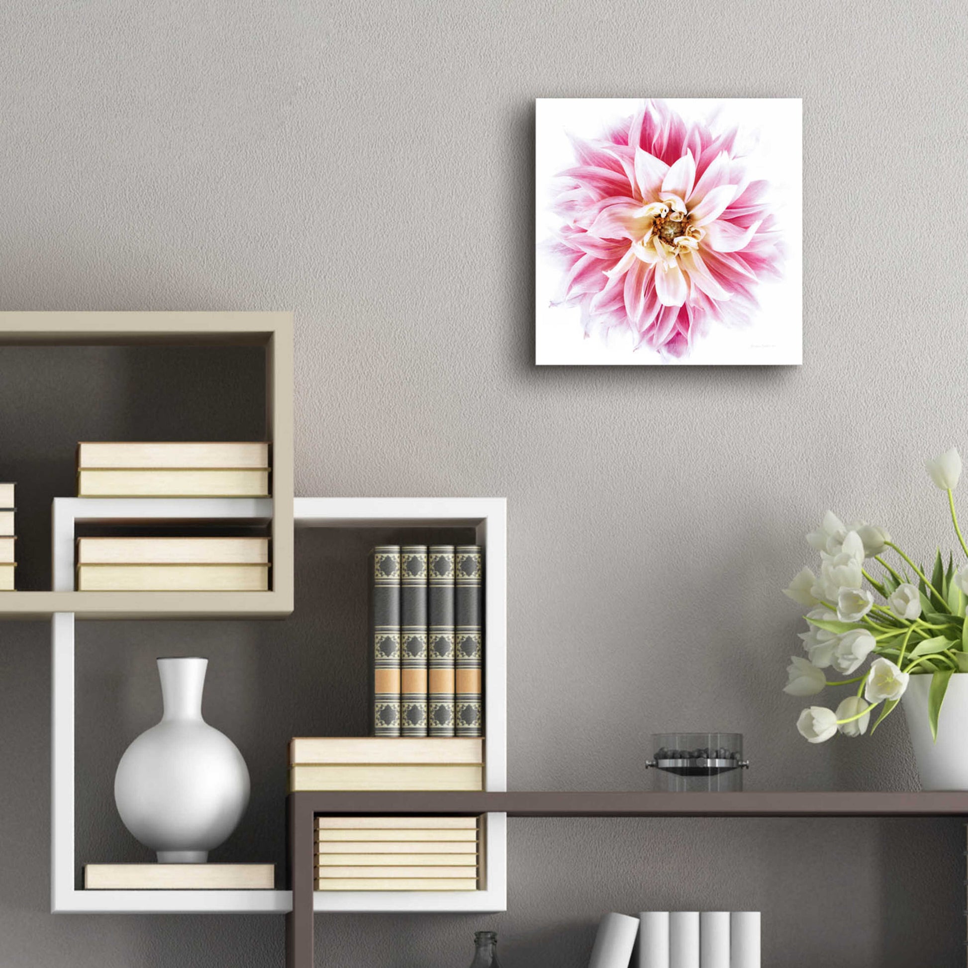 Epic Art 'Pink Dahlia' by Elise Catterall, Acrylic Glass Wall Art,12x12