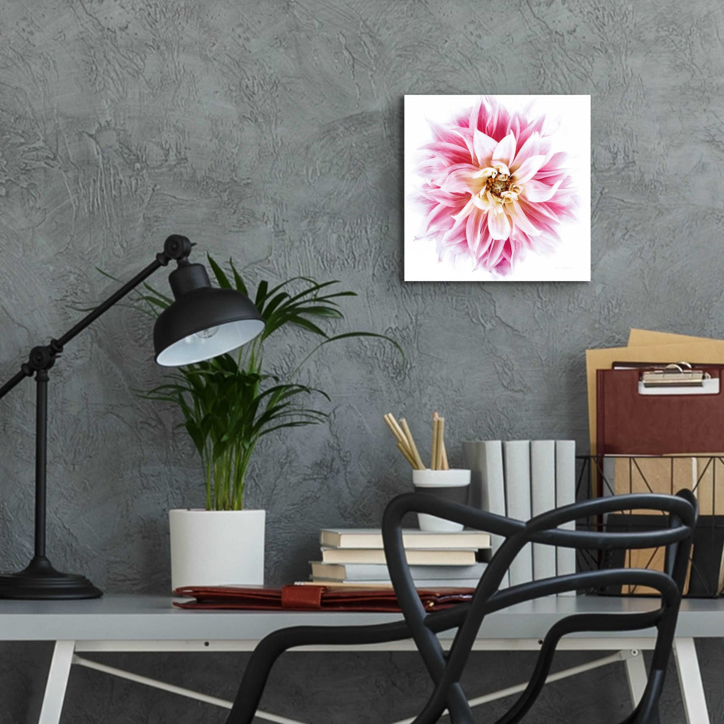 Epic Art 'Pink Dahlia' by Elise Catterall, Acrylic Glass Wall Art,12x12