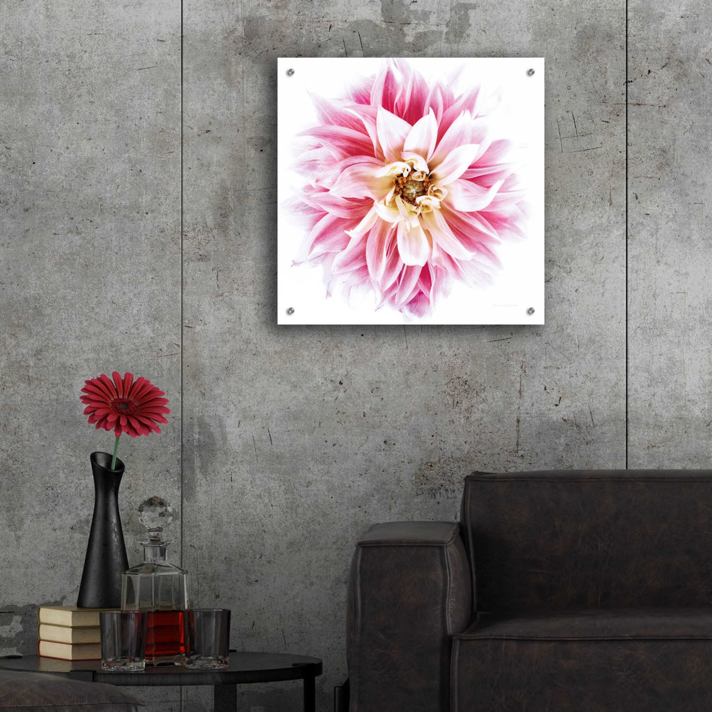 Epic Art 'Pink Dahlia' by Elise Catterall, Acrylic Glass Wall Art,24x24