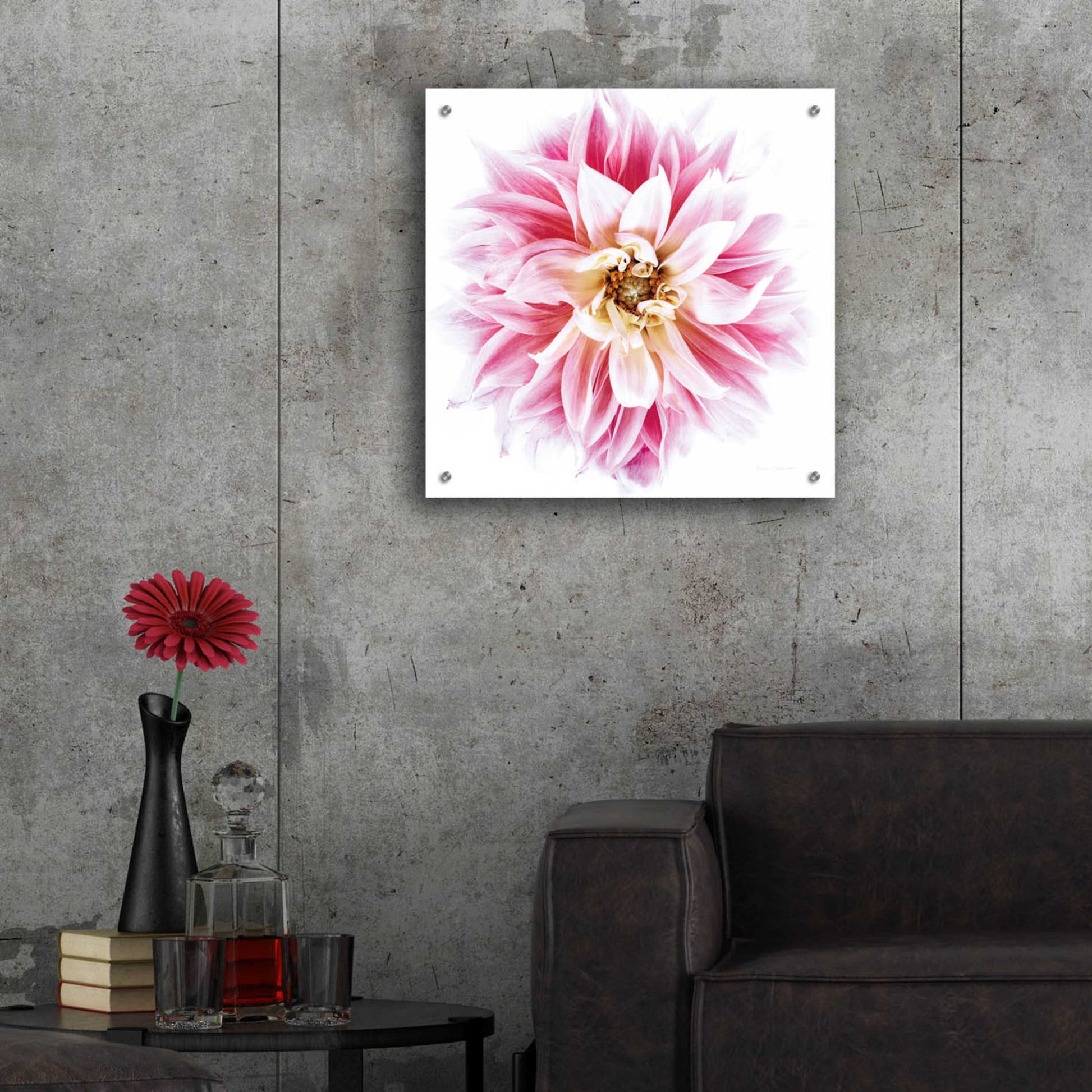 Epic Art 'Pink Dahlia' by Elise Catterall, Acrylic Glass Wall Art,24x24