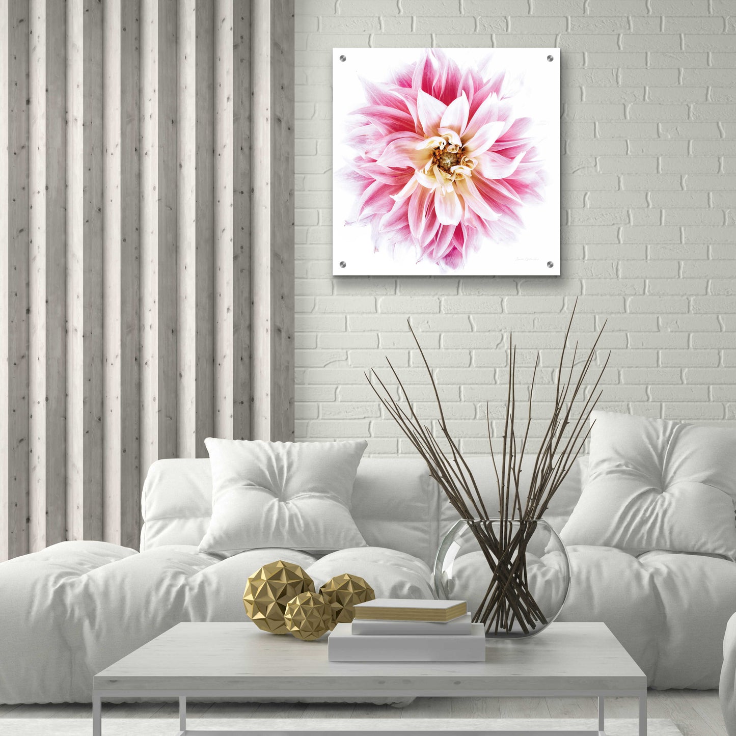 Epic Art 'Pink Dahlia' by Elise Catterall, Acrylic Glass Wall Art,24x24