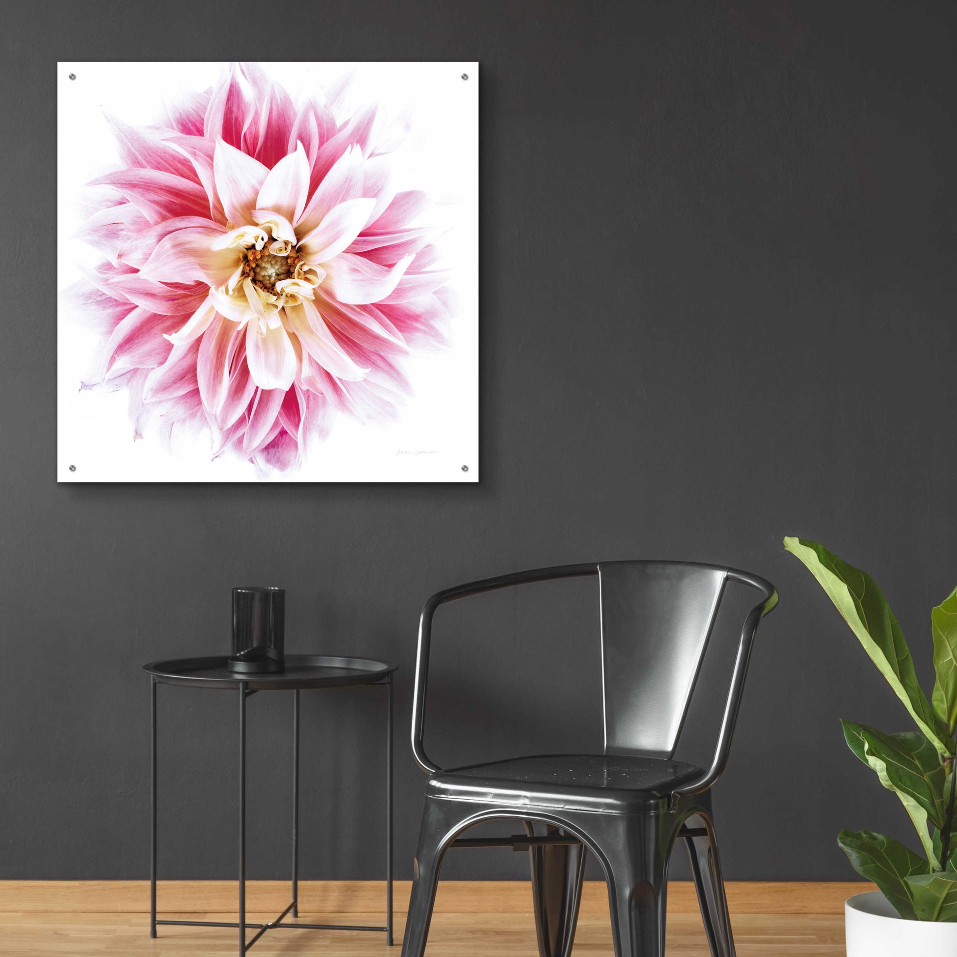 Epic Art 'Pink Dahlia' by Elise Catterall, Acrylic Glass Wall Art,36x36