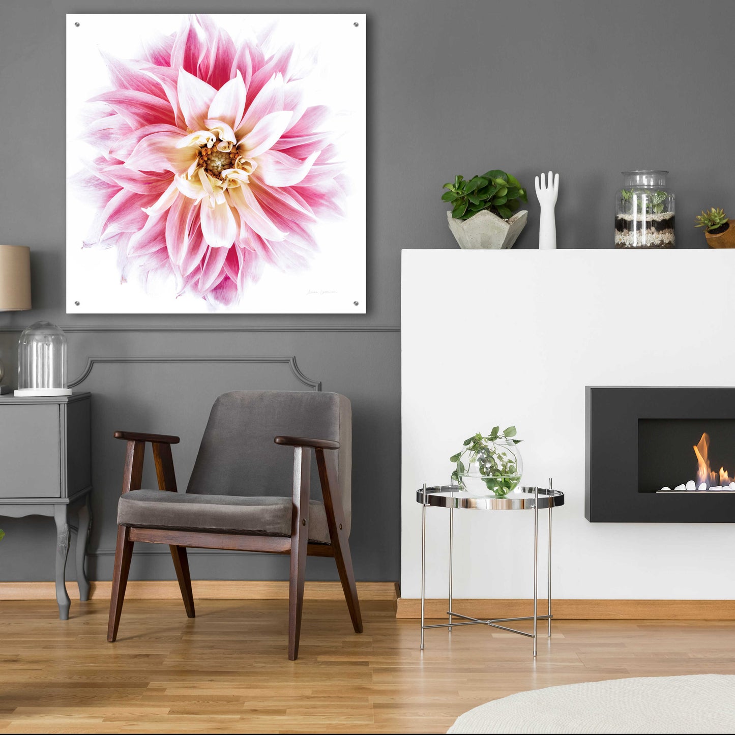 Epic Art 'Pink Dahlia' by Elise Catterall, Acrylic Glass Wall Art,36x36