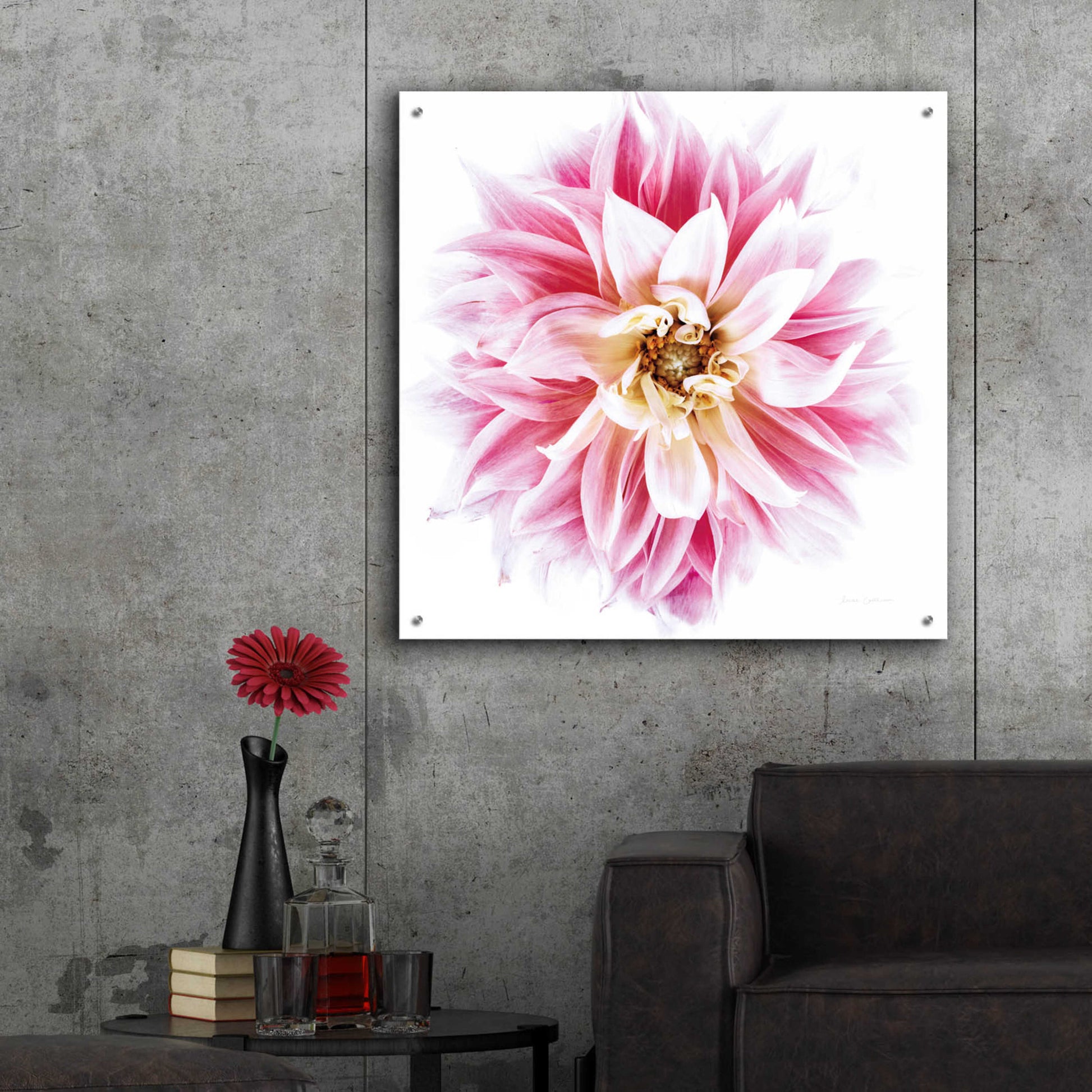 Epic Art 'Pink Dahlia' by Elise Catterall, Acrylic Glass Wall Art,36x36