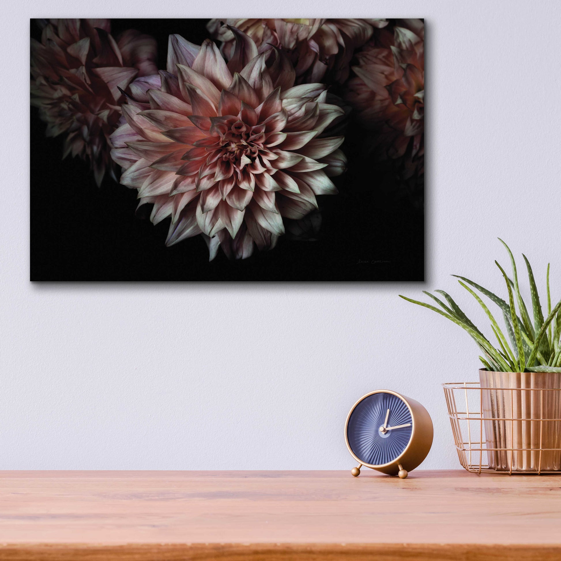 Epic Art 'Peach Dahlias' by Elise Catterall, Acrylic Glass Wall Art,16x12