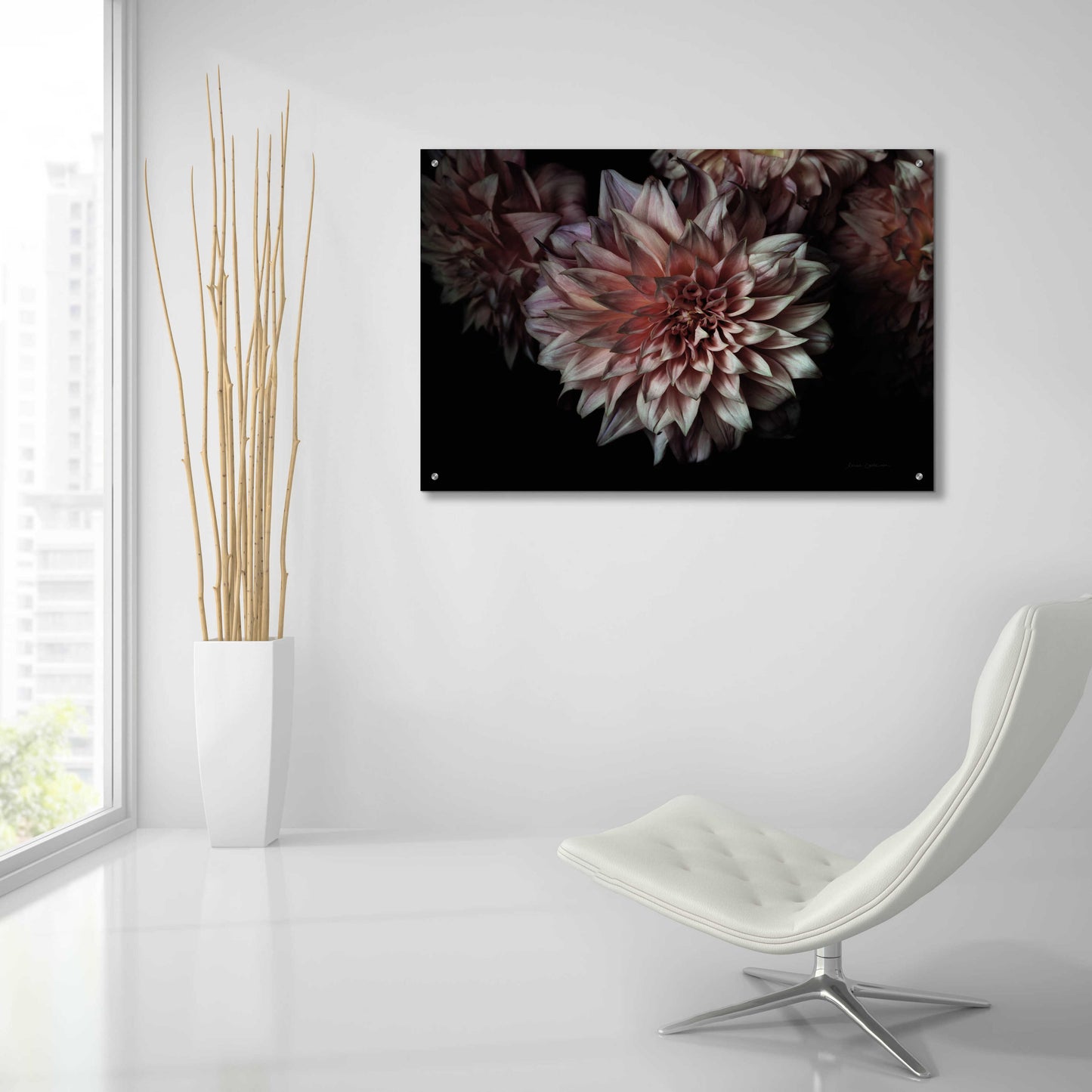 Epic Art 'Peach Dahlias' by Elise Catterall, Acrylic Glass Wall Art,36x24