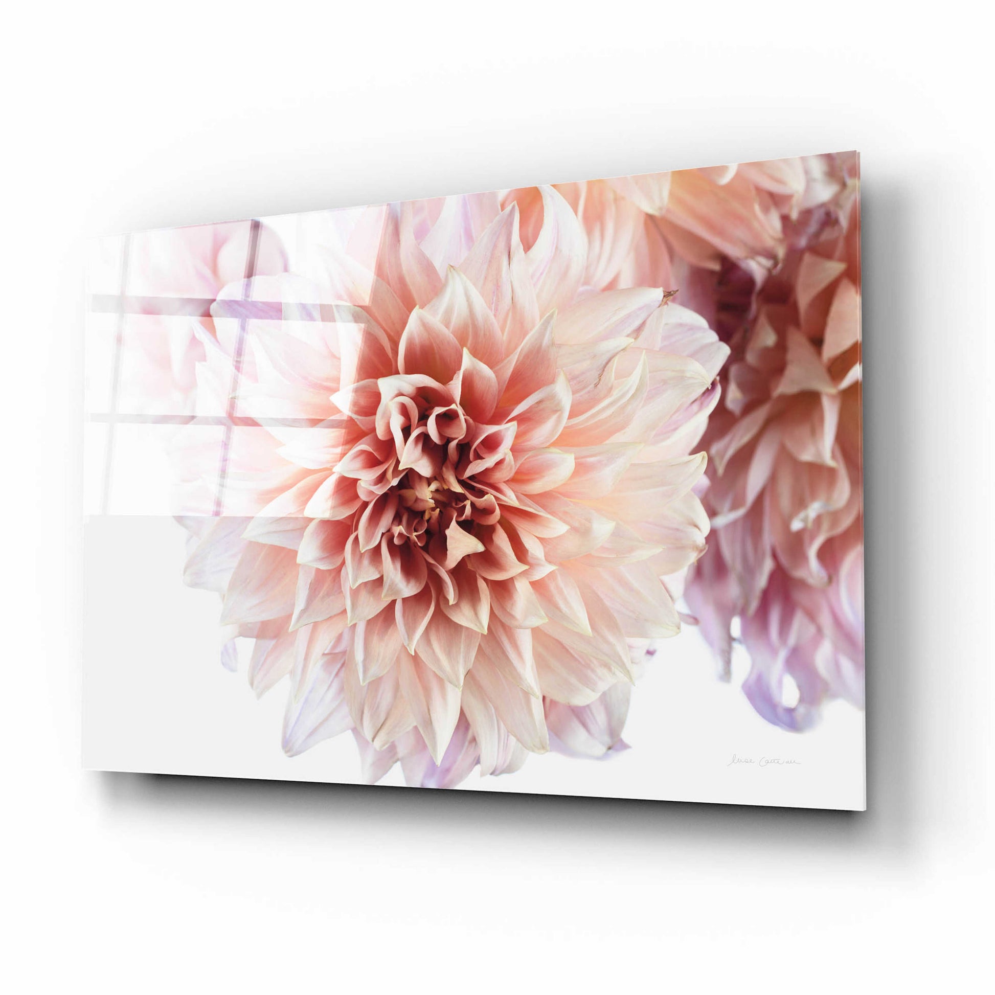 Epic Art 'Peach Dahlias Light' by Elise Catterall, Acrylic Glass Wall Art,16x12