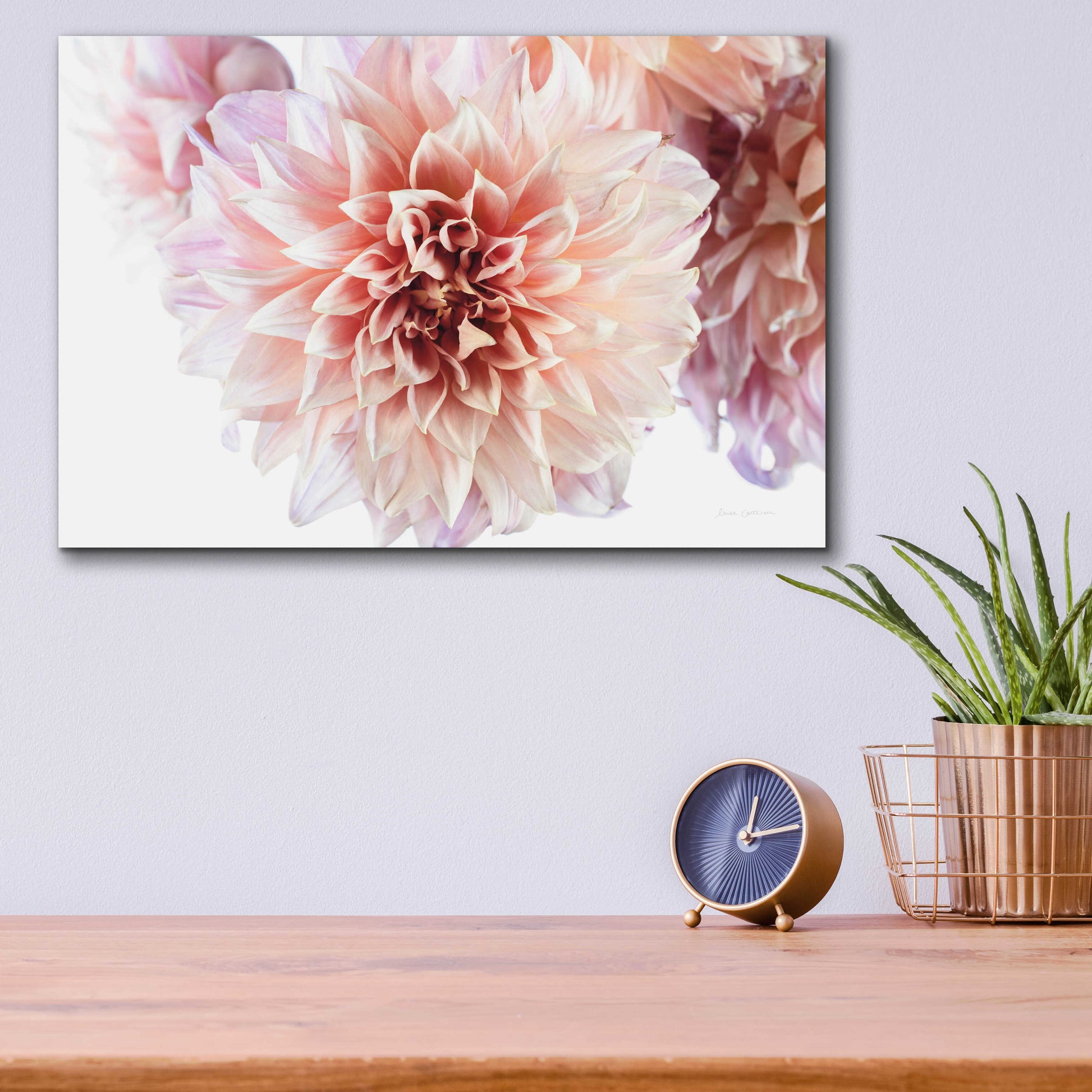 Epic Art 'Peach Dahlias Light' by Elise Catterall, Acrylic Glass Wall Art,16x12