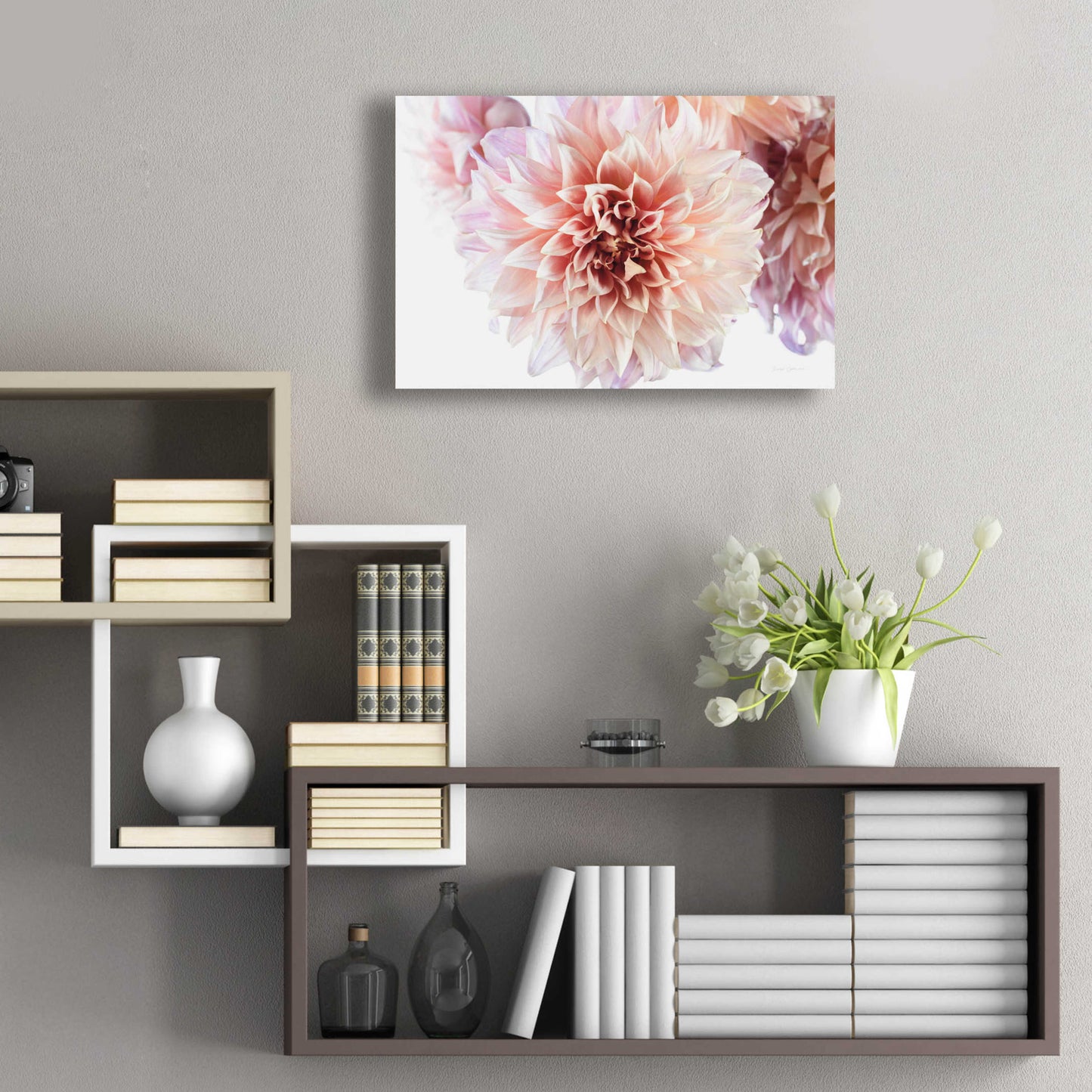 Epic Art 'Peach Dahlias Light' by Elise Catterall, Acrylic Glass Wall Art,24x16