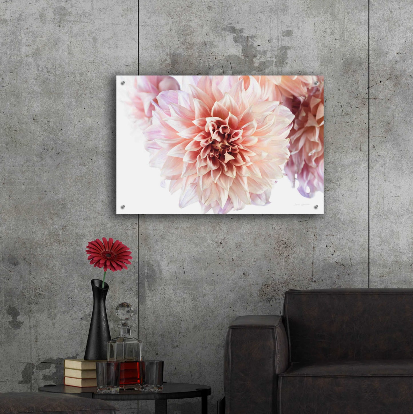 Epic Art 'Peach Dahlias Light' by Elise Catterall, Acrylic Glass Wall Art,36x24