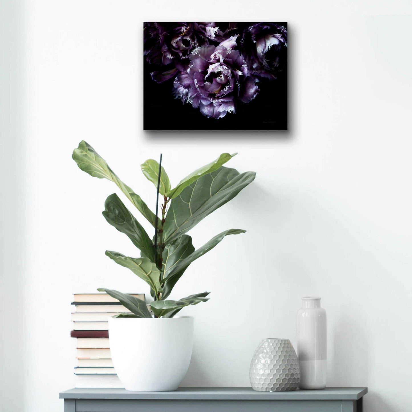 Epic Art 'Purple Fringed Tulips II' by Elise Catterall, Acrylic Glass Wall Art,16x12