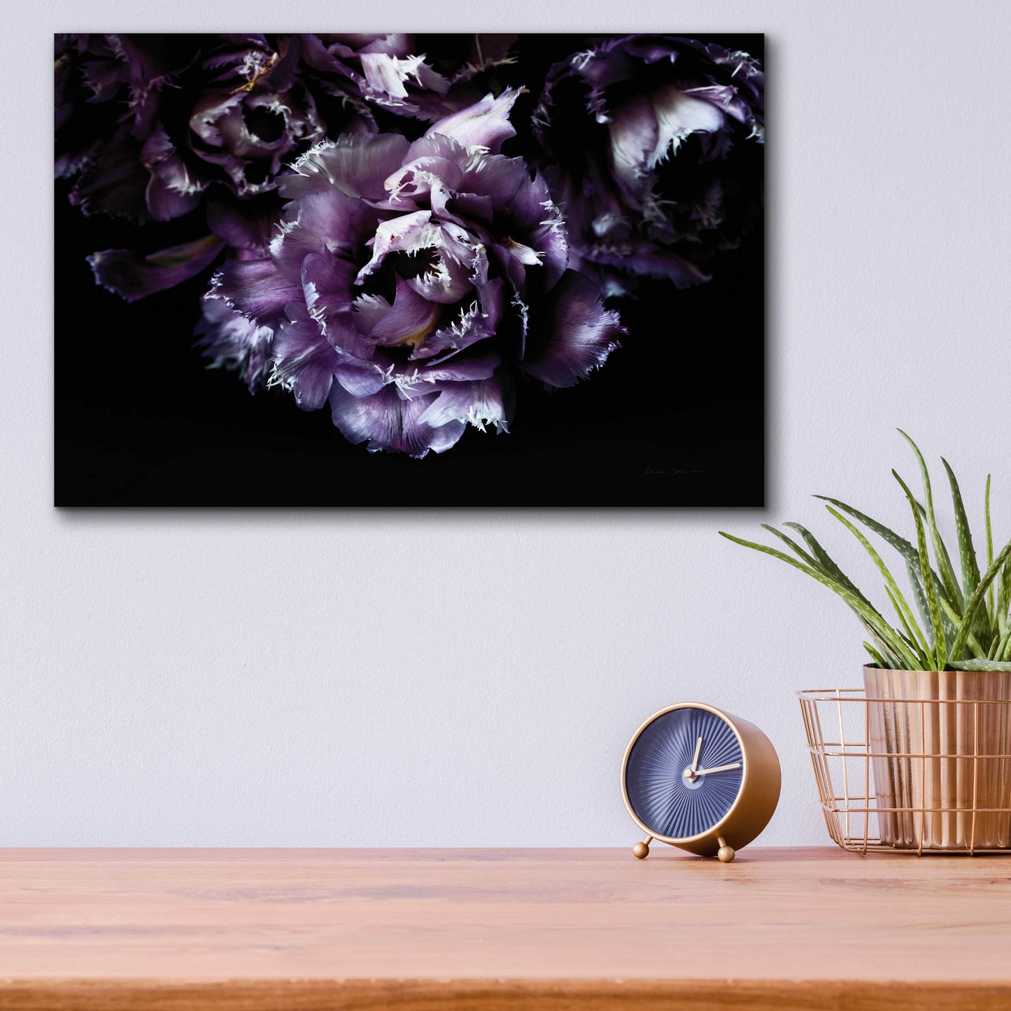 Epic Art 'Purple Fringed Tulips II' by Elise Catterall, Acrylic Glass Wall Art,16x12