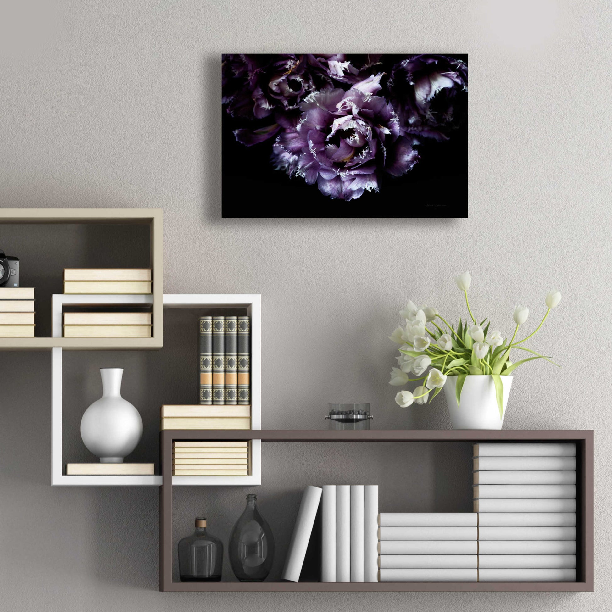 Epic Art 'Purple Fringed Tulips II' by Elise Catterall, Acrylic Glass Wall Art,24x16