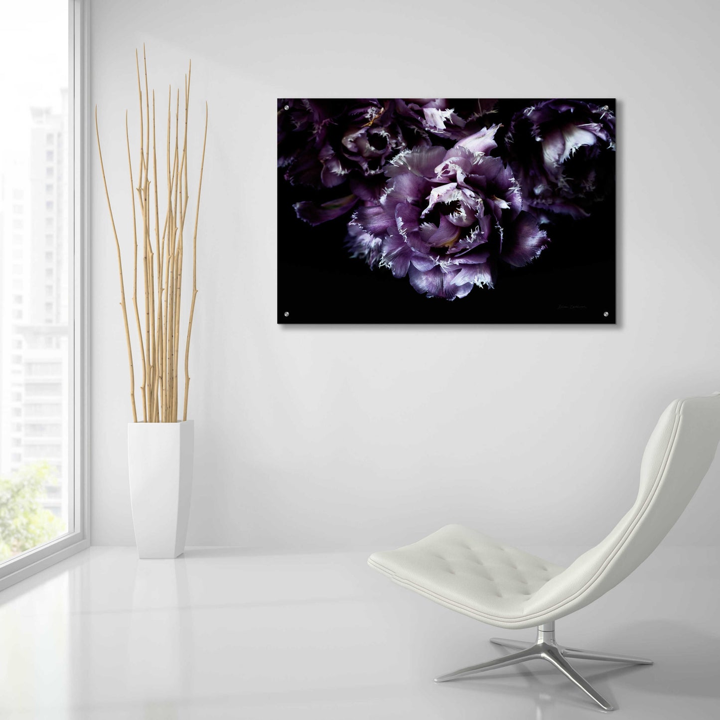 Epic Art 'Purple Fringed Tulips II' by Elise Catterall, Acrylic Glass Wall Art,36x24