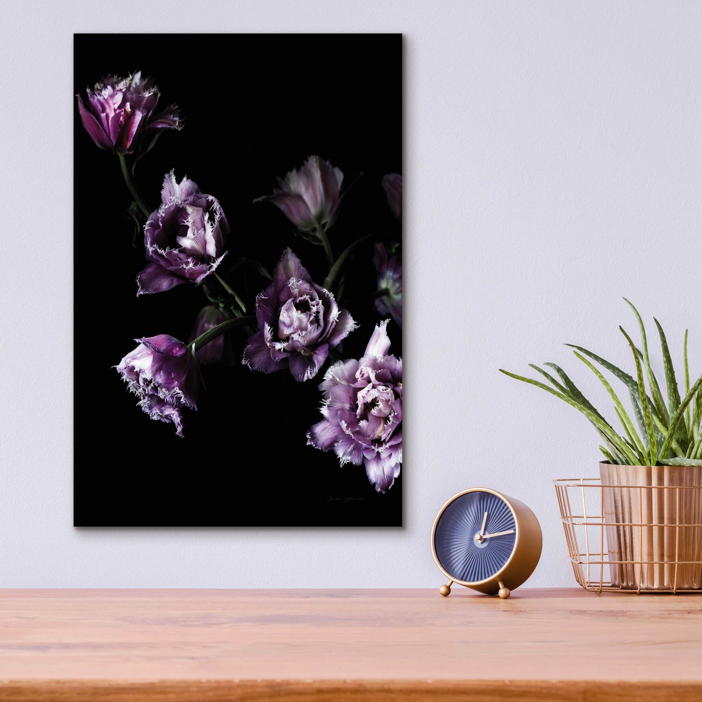 Epic Art 'Purple Fringed Tulips III' by Elise Catterall, Acrylic Glass Wall Art,12x16