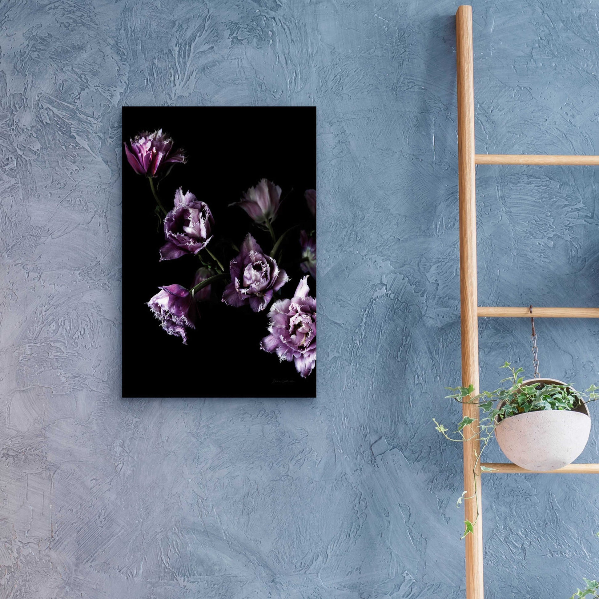 Epic Art 'Purple Fringed Tulips III' by Elise Catterall, Acrylic Glass Wall Art,16x24