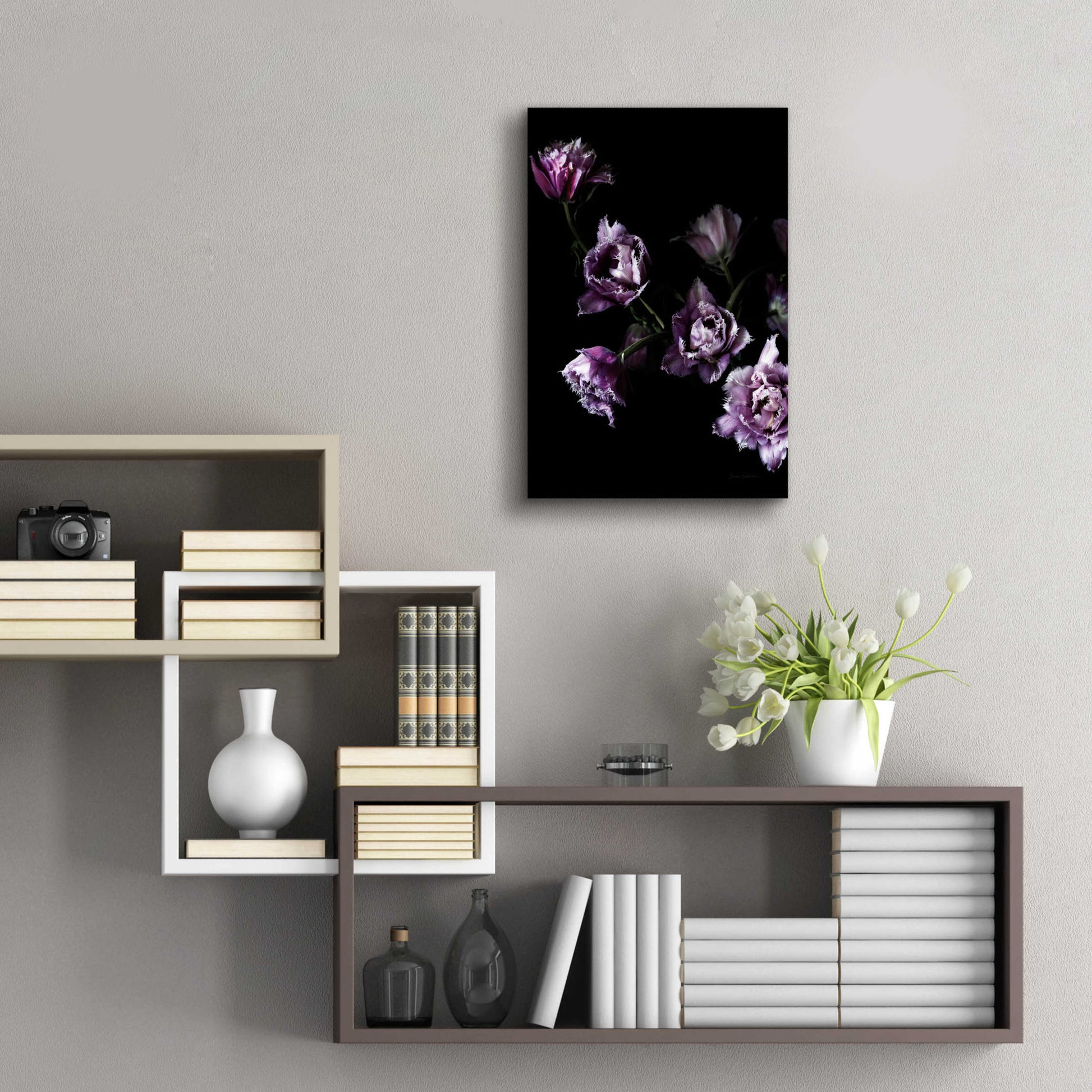 Epic Art 'Purple Fringed Tulips III' by Elise Catterall, Acrylic Glass Wall Art,16x24