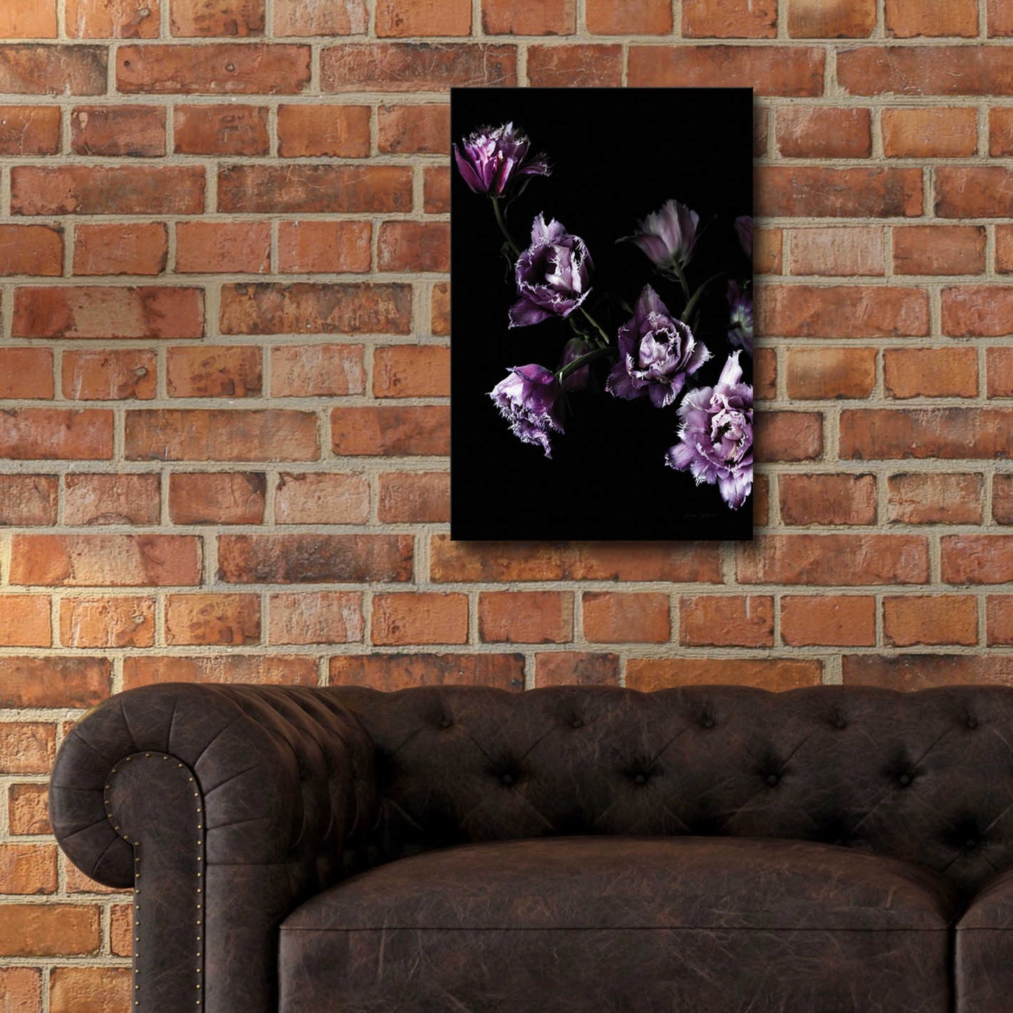 Epic Art 'Purple Fringed Tulips III' by Elise Catterall, Acrylic Glass Wall Art,16x24