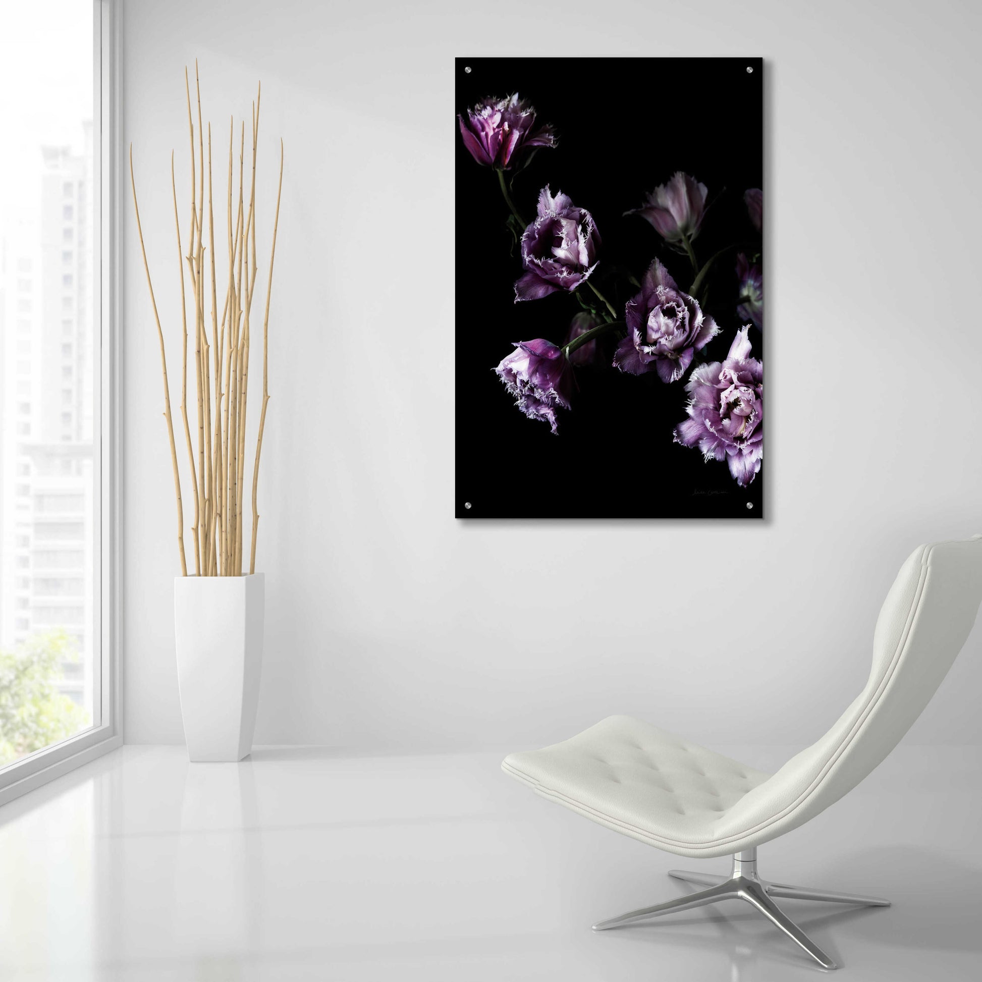 Epic Art 'Purple Fringed Tulips III' by Elise Catterall, Acrylic Glass Wall Art,24x36