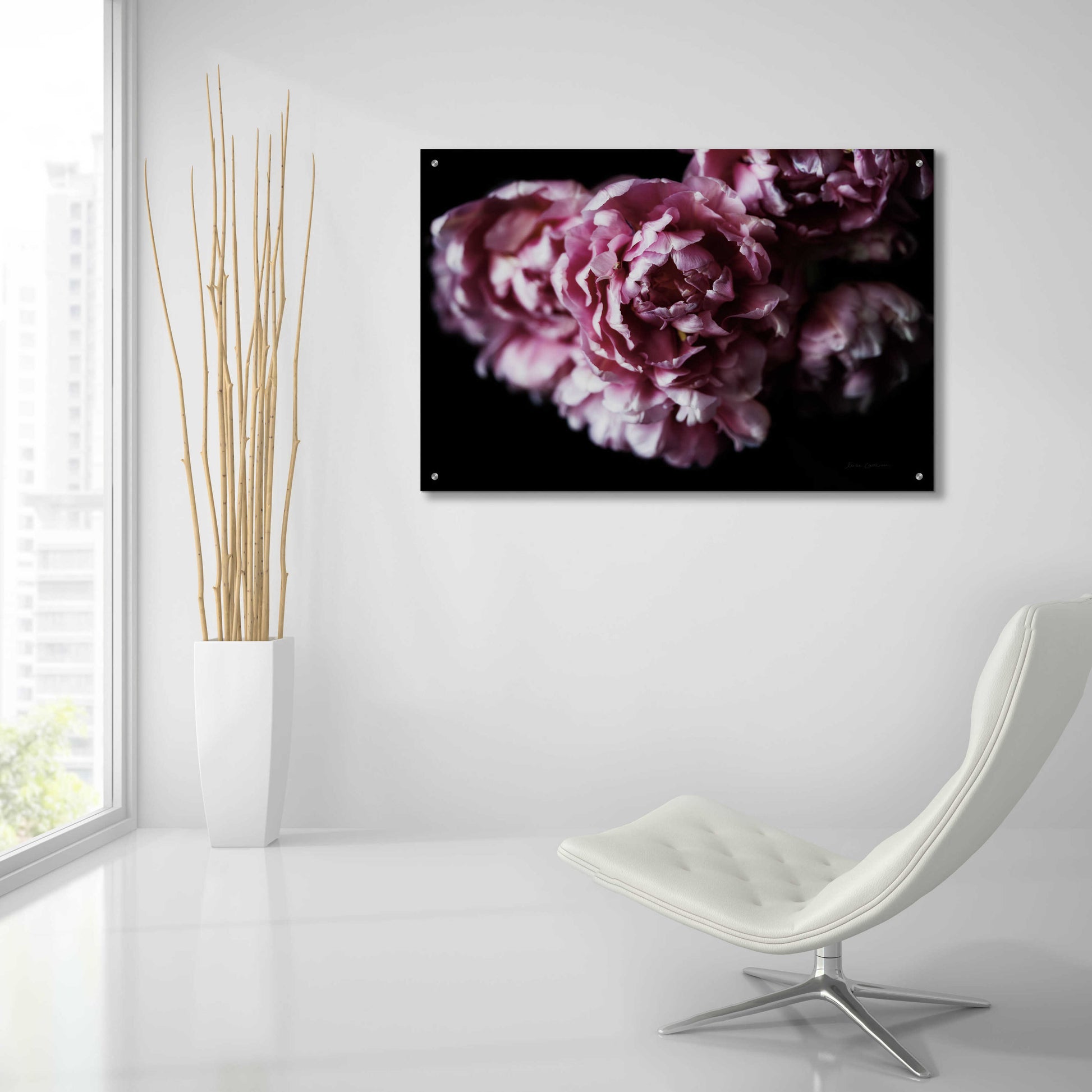 Epic Art 'Pink Double Tulips' by Elise Catterall, Acrylic Glass Wall Art,36x24