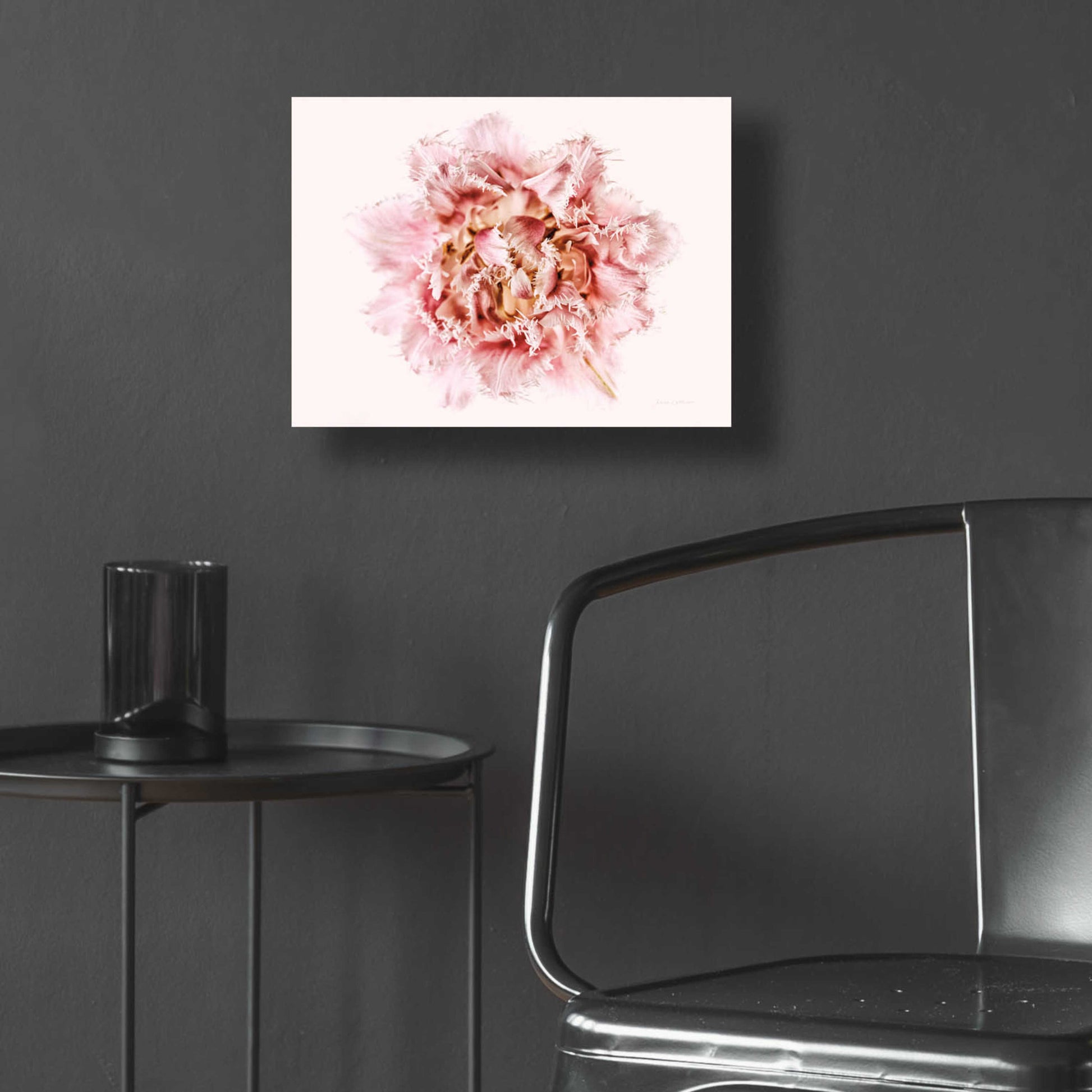 Epic Art 'Pink Fringed Tulip' by Elise Catterall, Acrylic Glass Wall Art,16x12